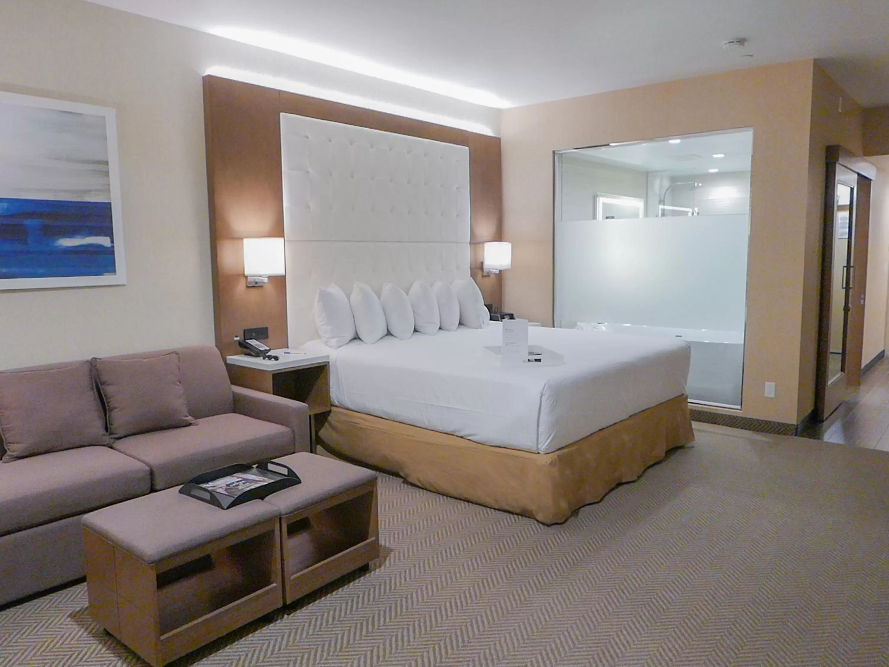 King Suite - Non-Smoking in Wyndham Anaheim