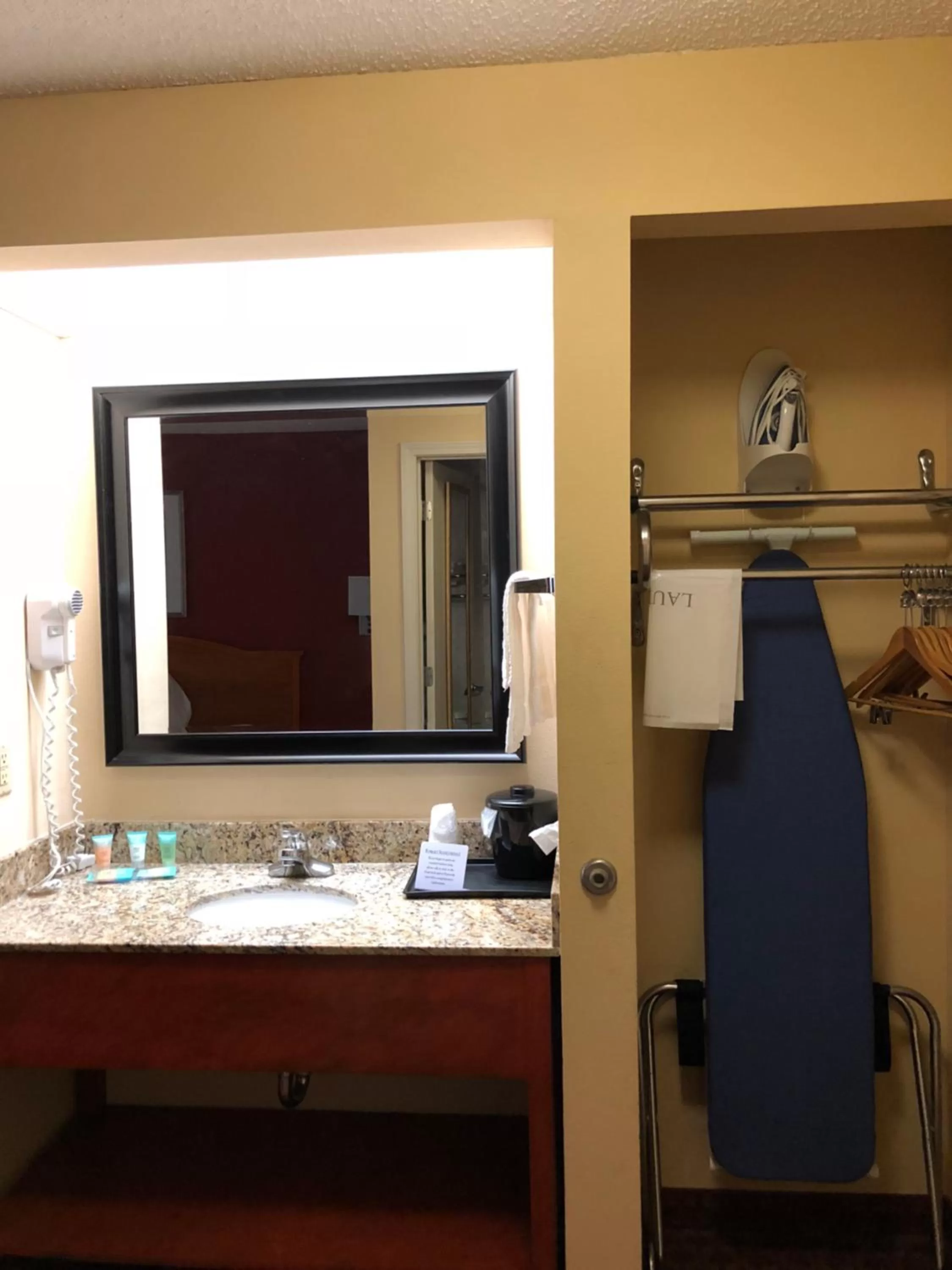 Standard King Room - Non-Smoking  in Millennium Inn