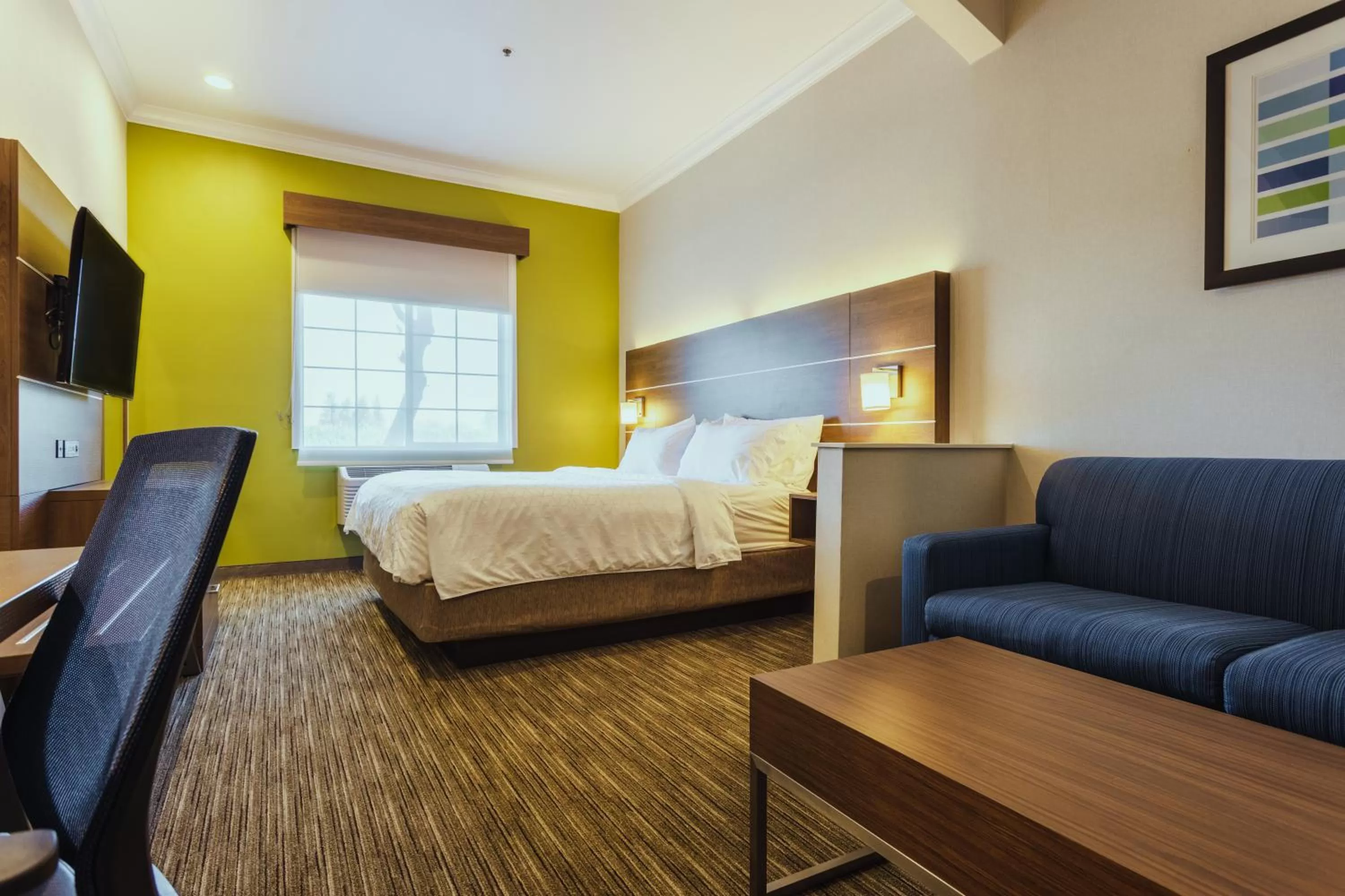 King Suite in Holiday Inn Express Davis-University Area by IHG
