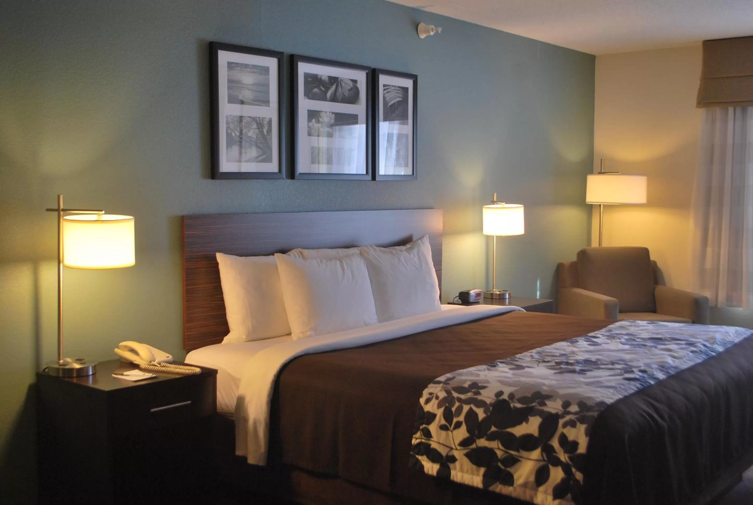 King Suite - Accessible/Non-Smoking in Sleep Inn & Suites Clintwood