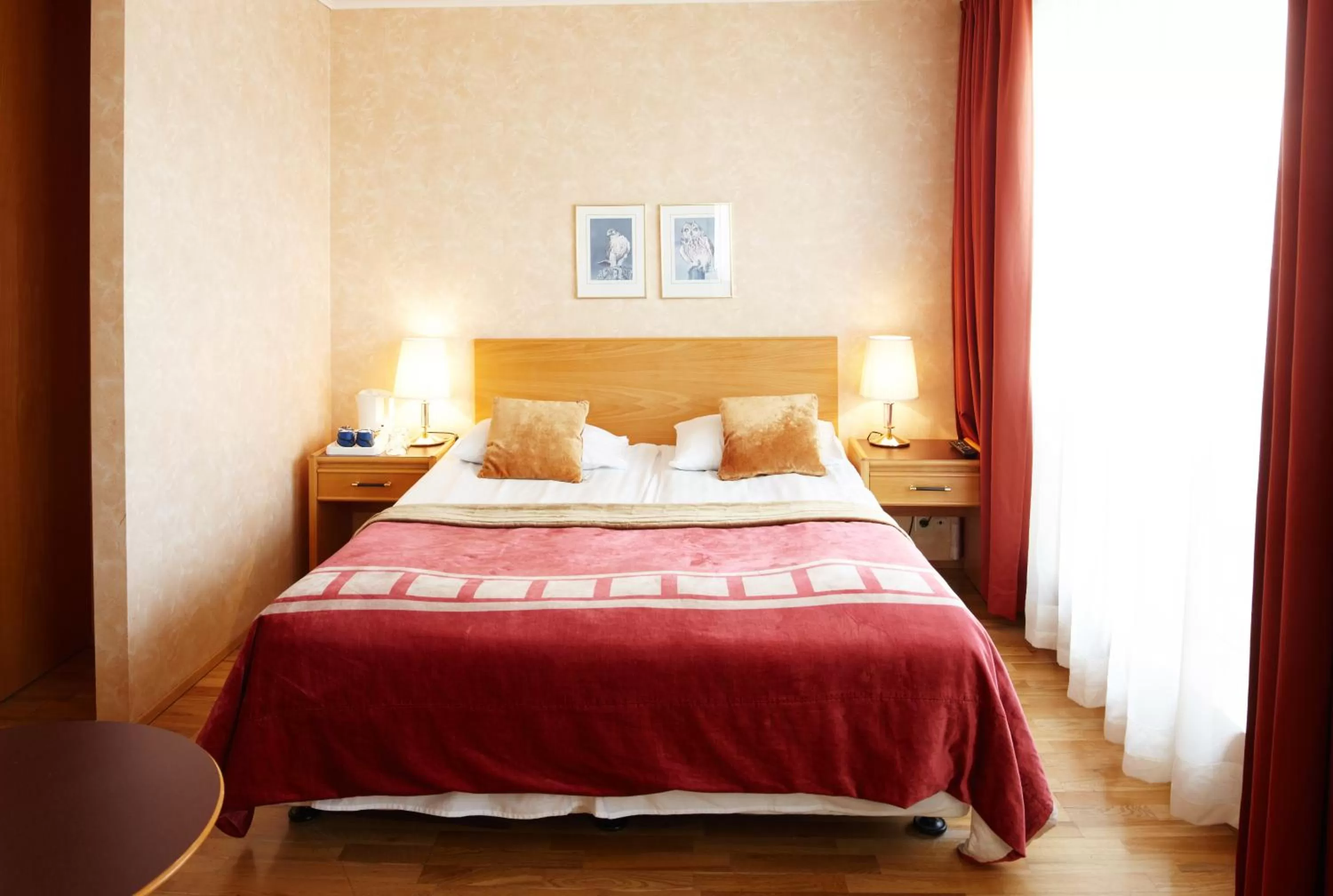 Double or Twin Room in Fosshotel Rauðará