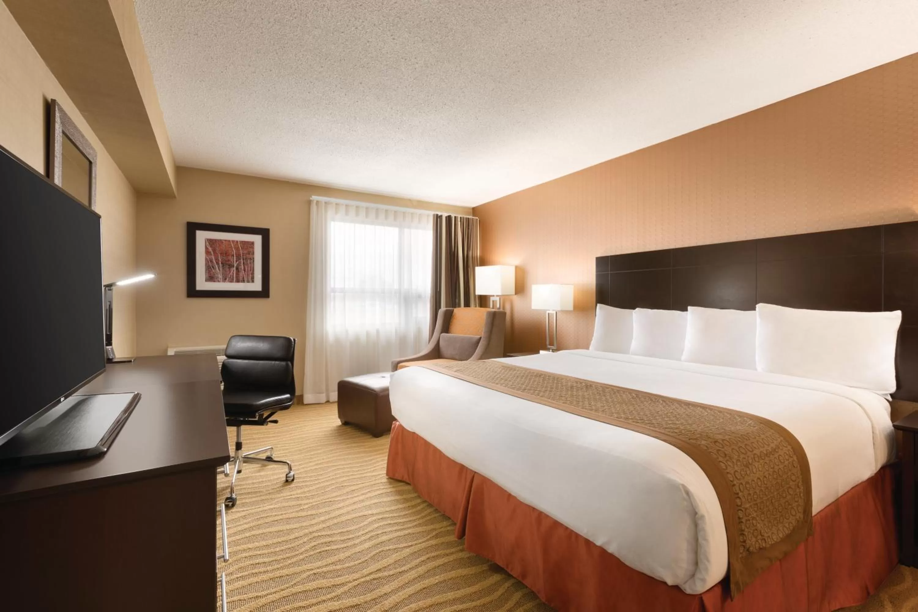 King Room in Park Inn by Radisson Toronto-Markham