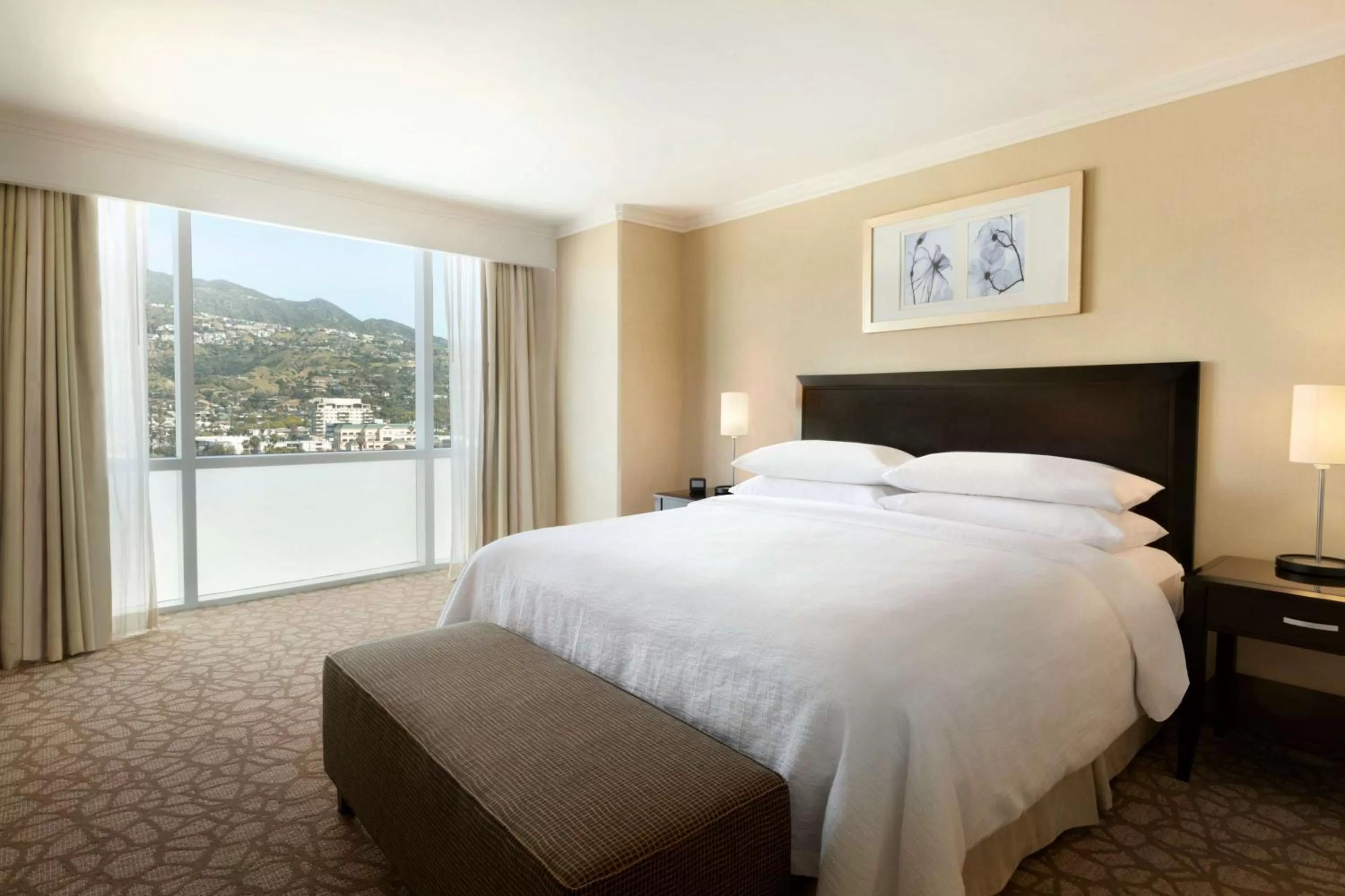 King Room with Mountain View in Embassy Suites Los Angeles Glendale