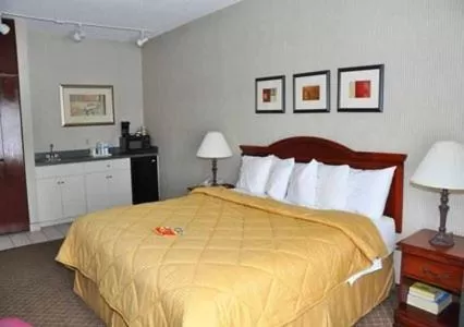 King Room - Non-Smoking in Comfort Inn