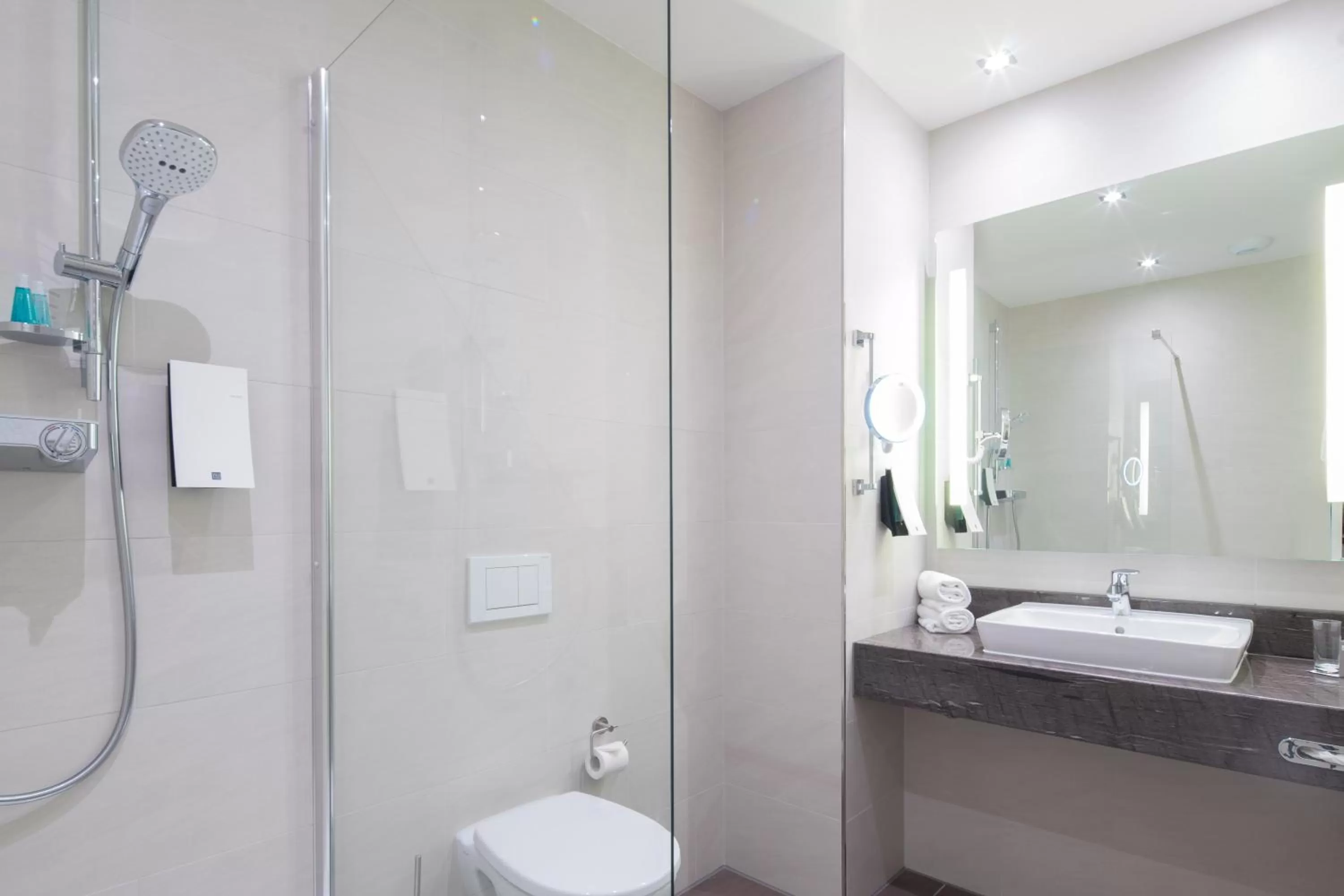 Single Room with Kitchenette in Best Western Hotel Dreiländerbrücke Weil am Rhein / Basel