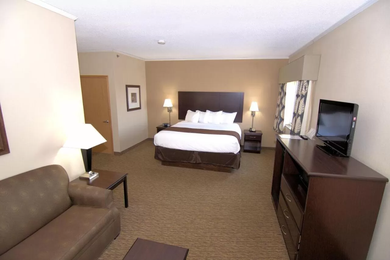 Standard King Suite in Rock Island Inn & Suites