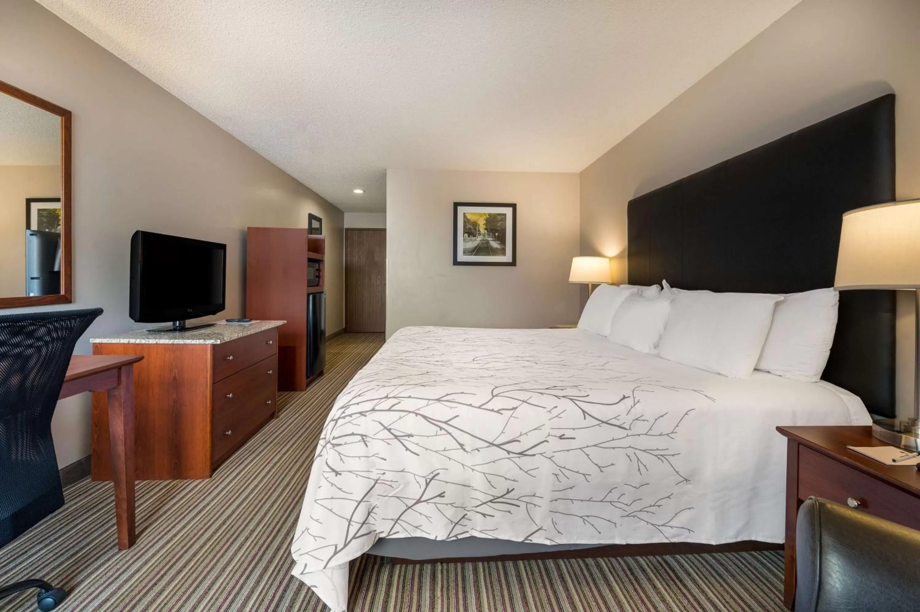 Queen Room with Two Queen Beds with Roll-In Shower - Mobility Accessible/Non-Smoking in Best Western Park Oasis Inn