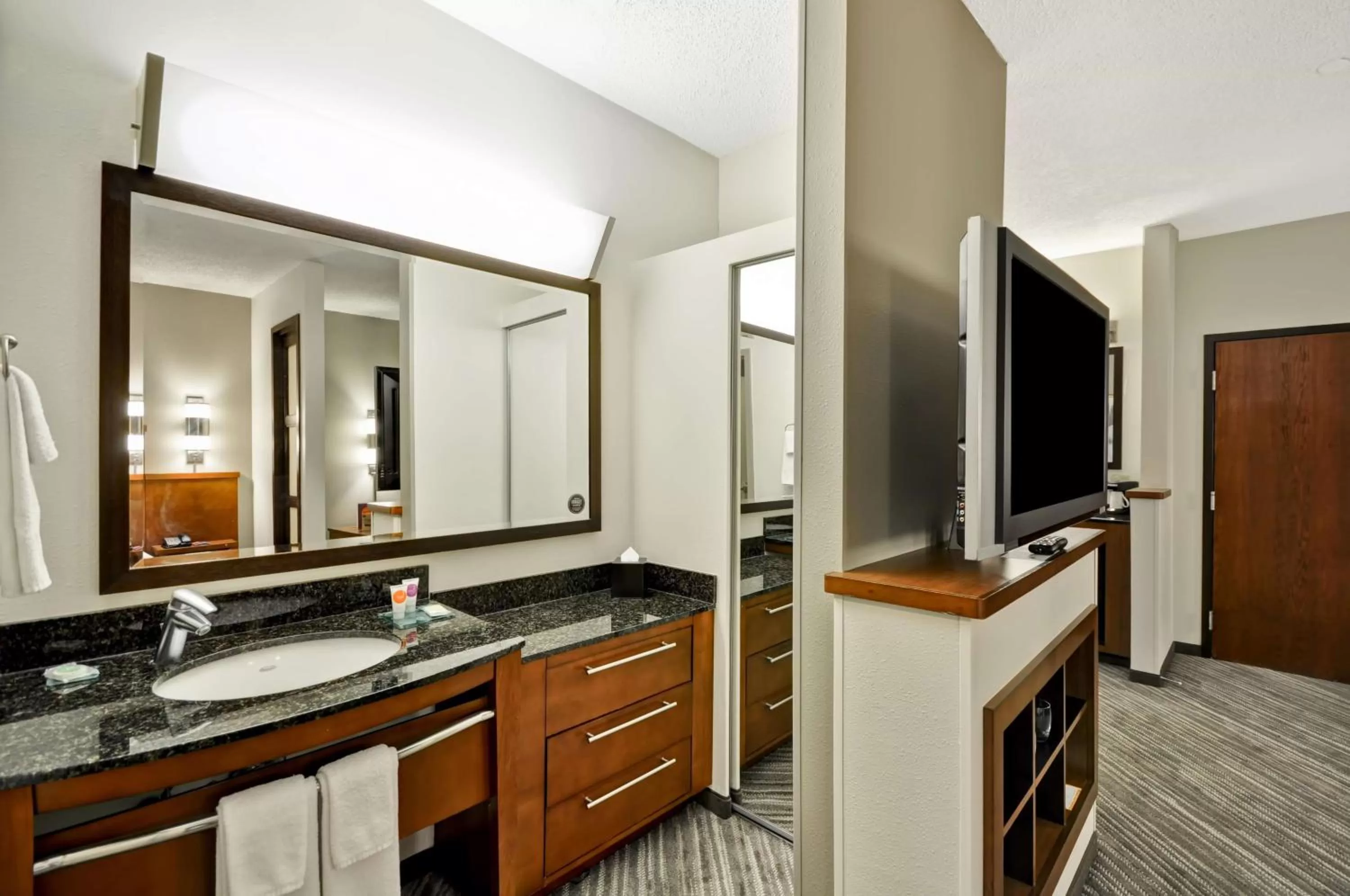 King Room with Sofa Bed - High Floor in Hyatt Place Tampa Airport/Westshore
