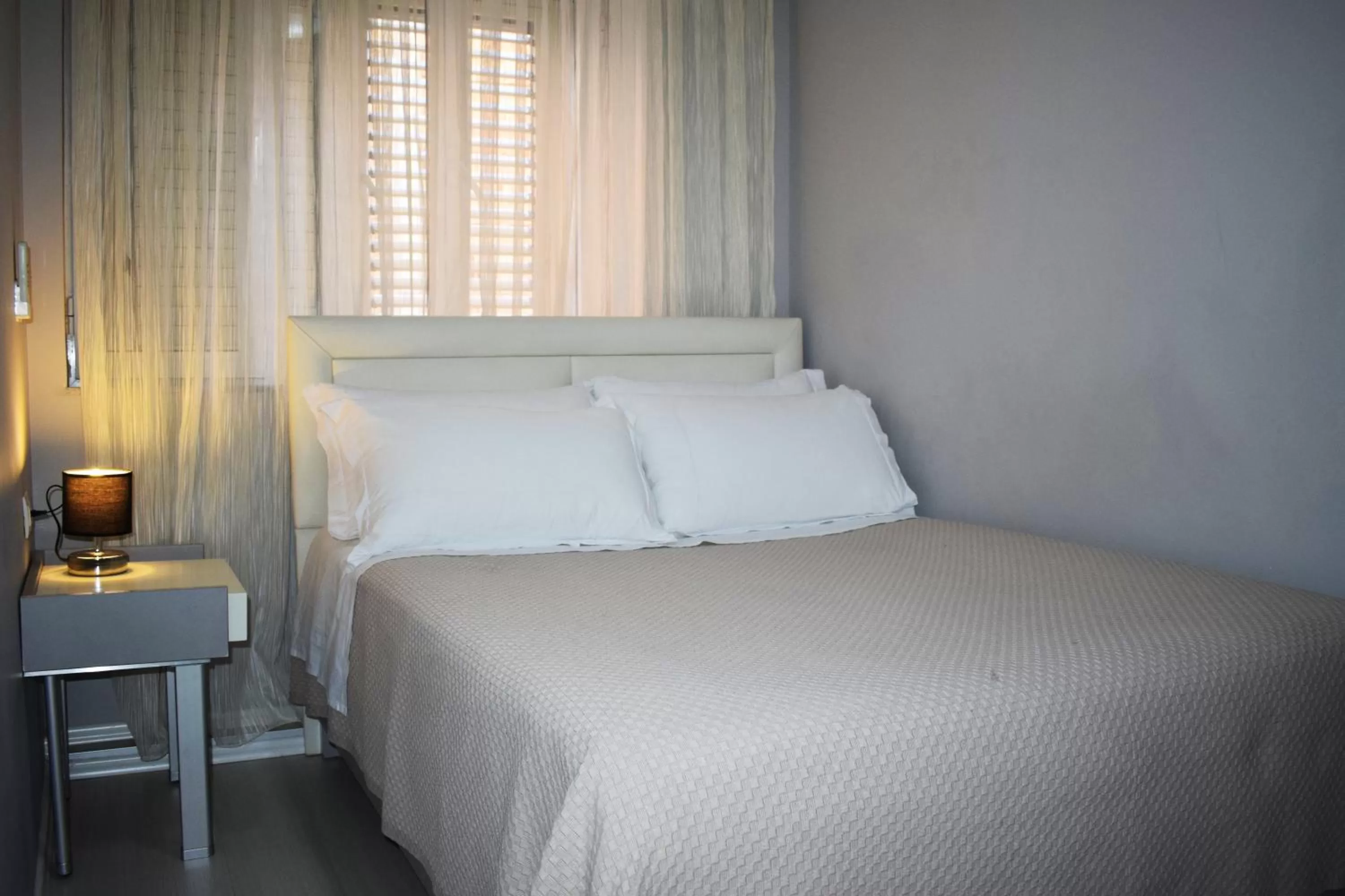 Single Room in Freddy's Hotel