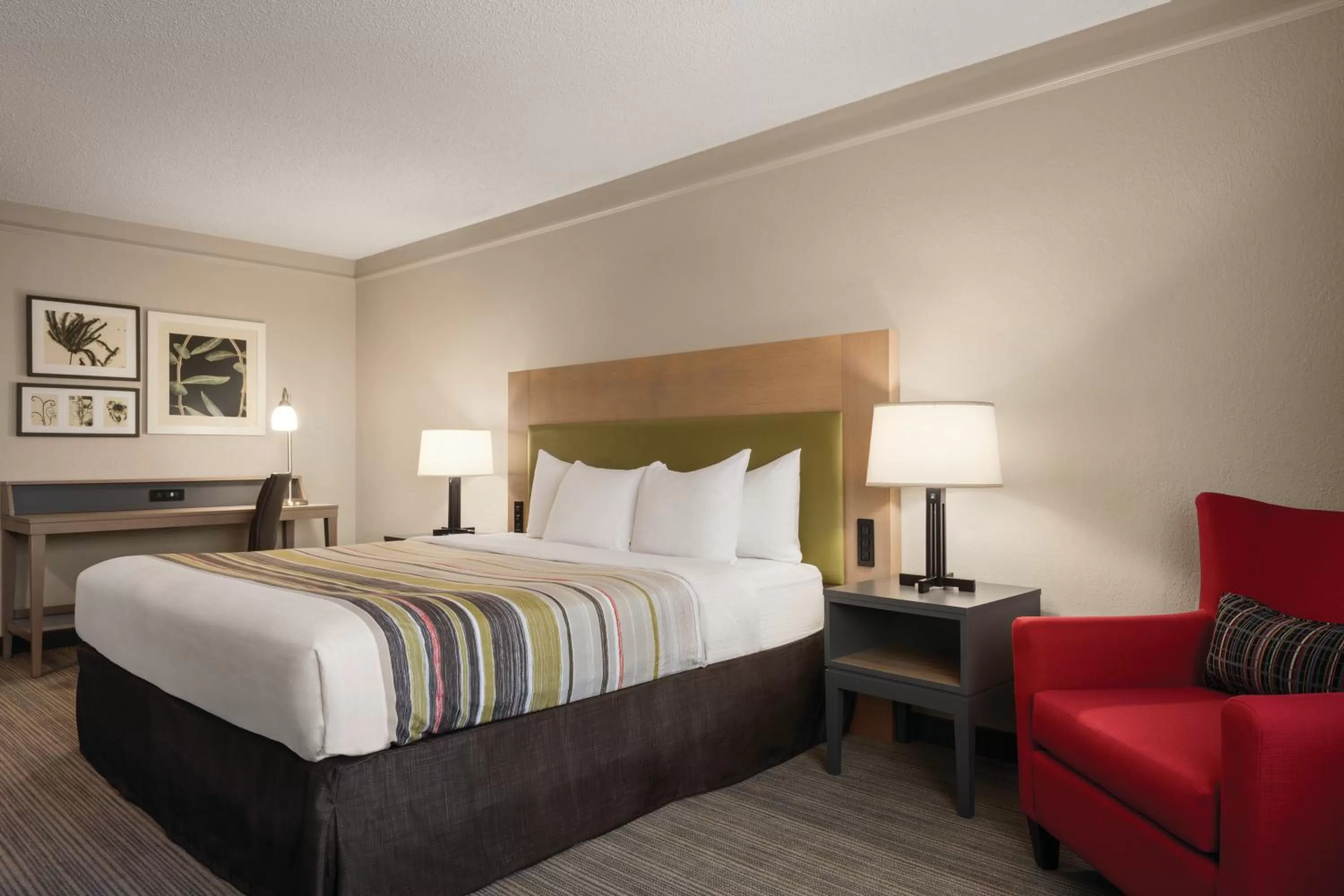 King Room - Non-Smoking in Country Inn & Suites by Radisson, Chicago-Hoffman