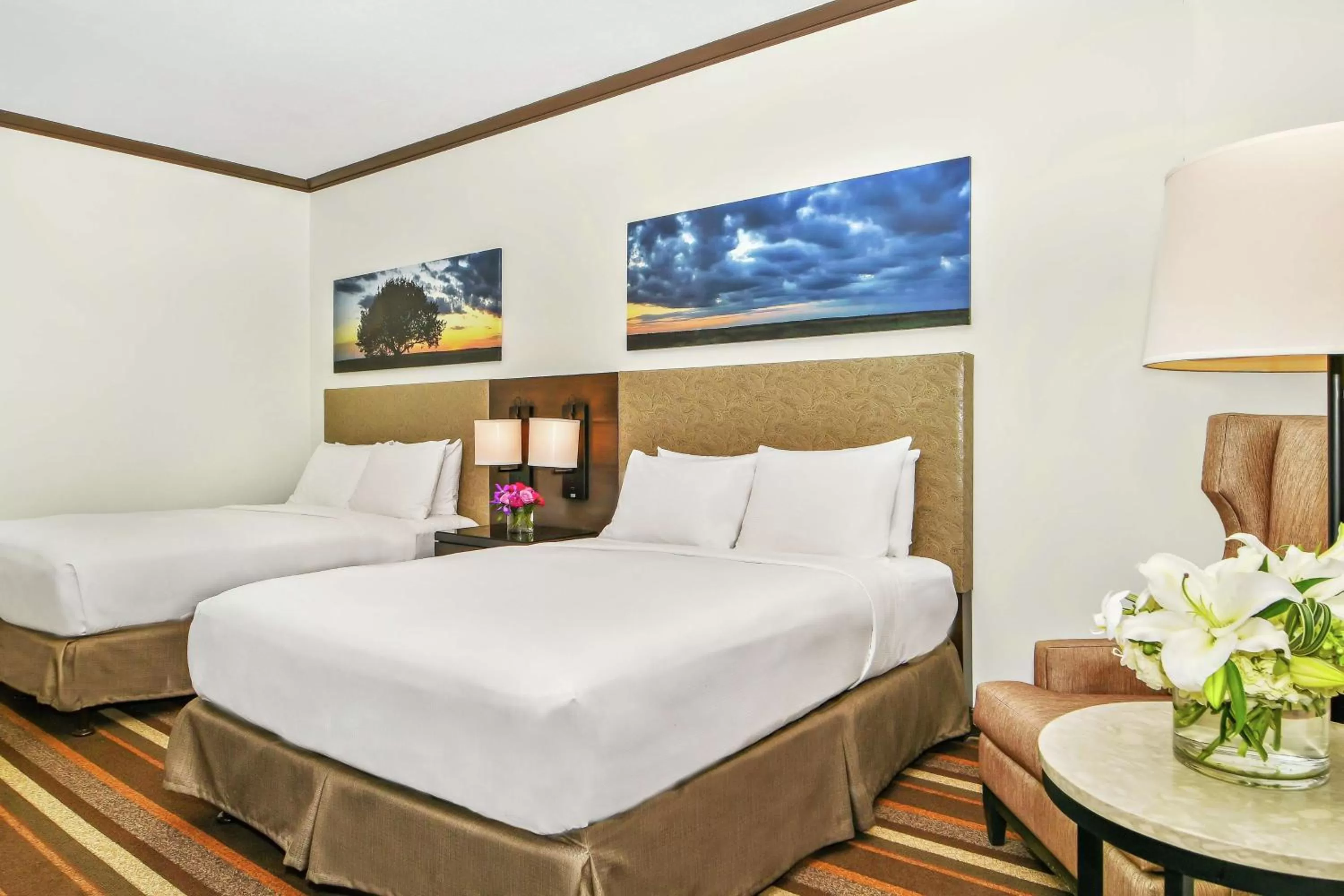 Queen Room with Two Queen Beds in Hilton Dallas-Park Cities