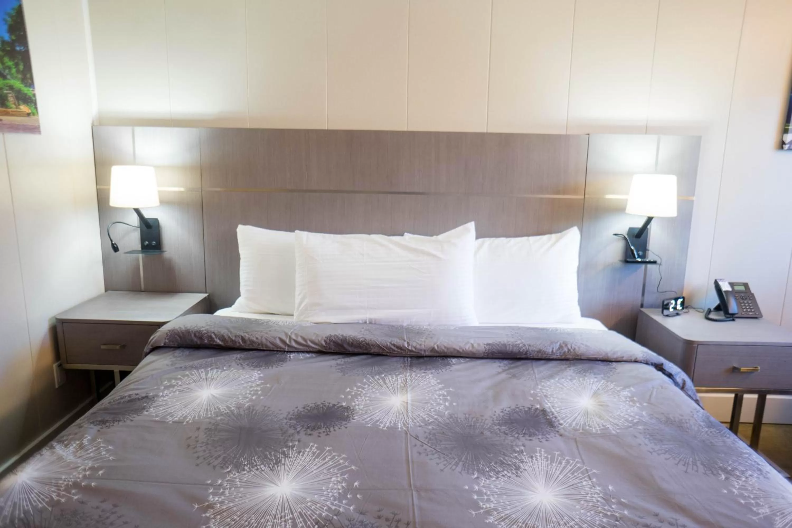 Standard Double Room in Stay Express Inn Chattanooga