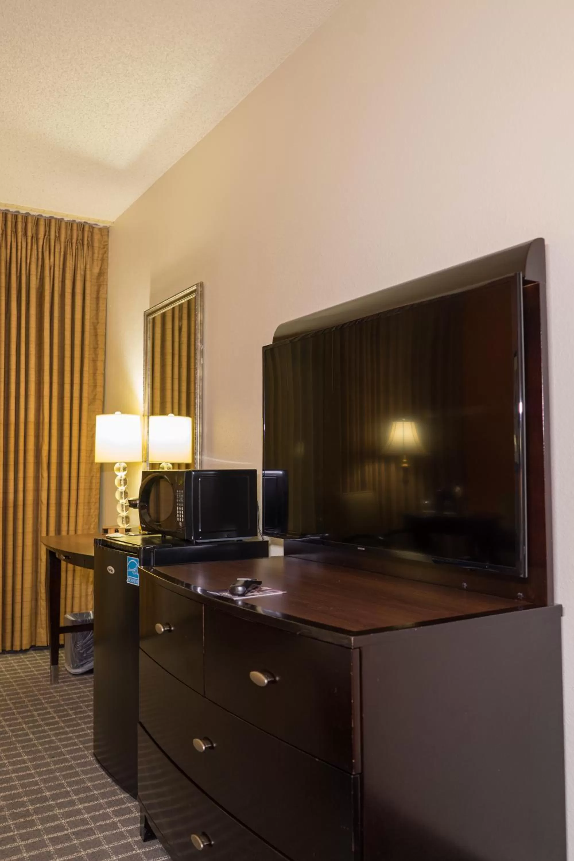 Executive King Room in Oakland Airport Executive Hotel