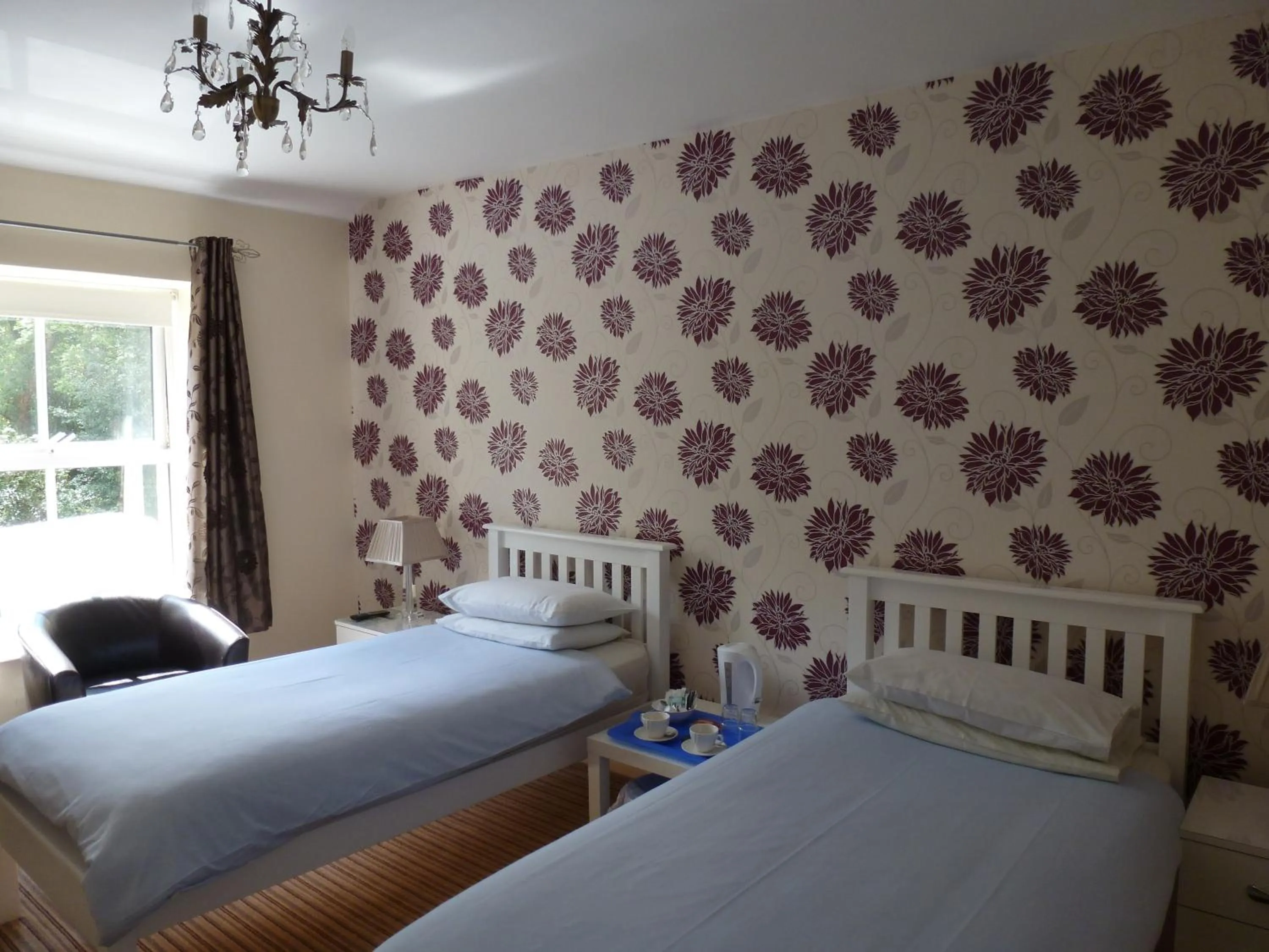 Twin Room with Private Bathroom (in hall)  in Hedgefield House