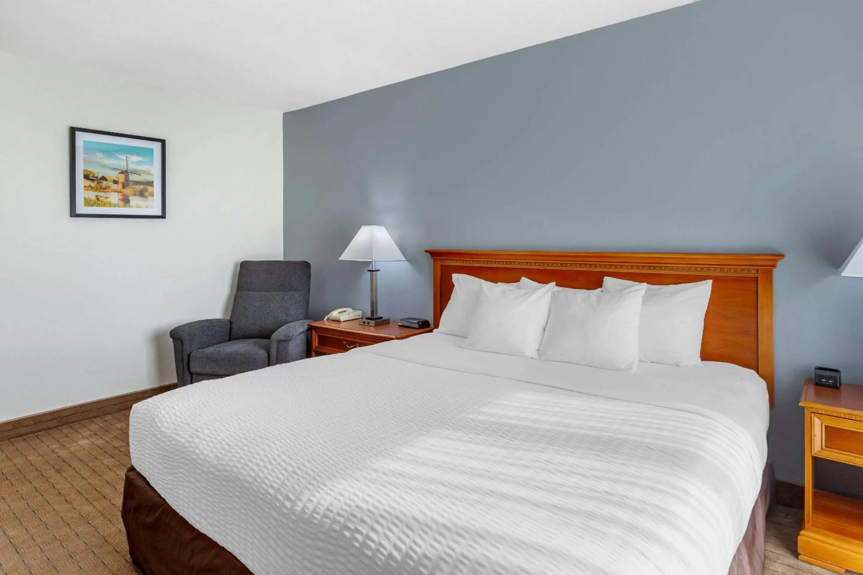 King Room - Dog Friendly Only/Non-Smoking in Clarion Inn Ontario