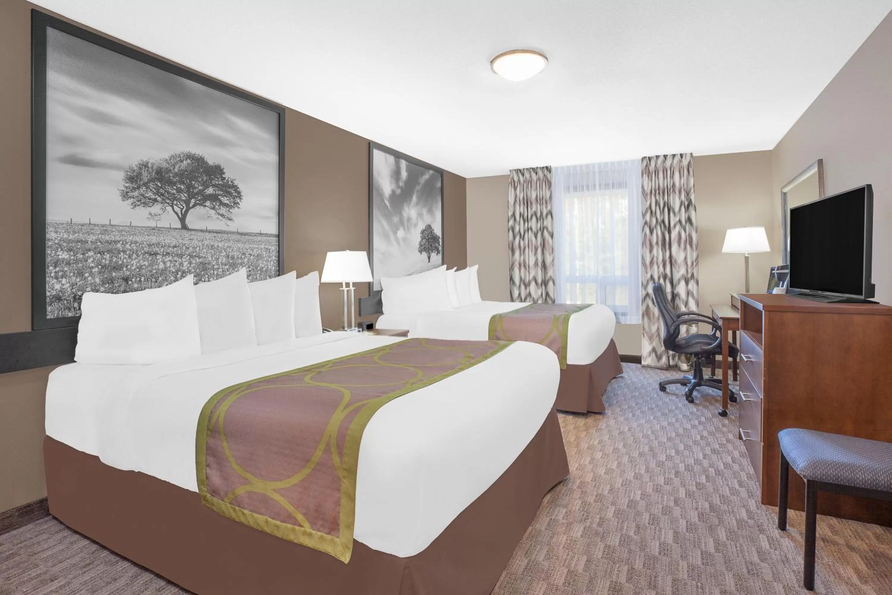 Business Room with Two Queen Beds - single occupancy - Non-Smoking in Super 8 by Wyndham Athabasca AB