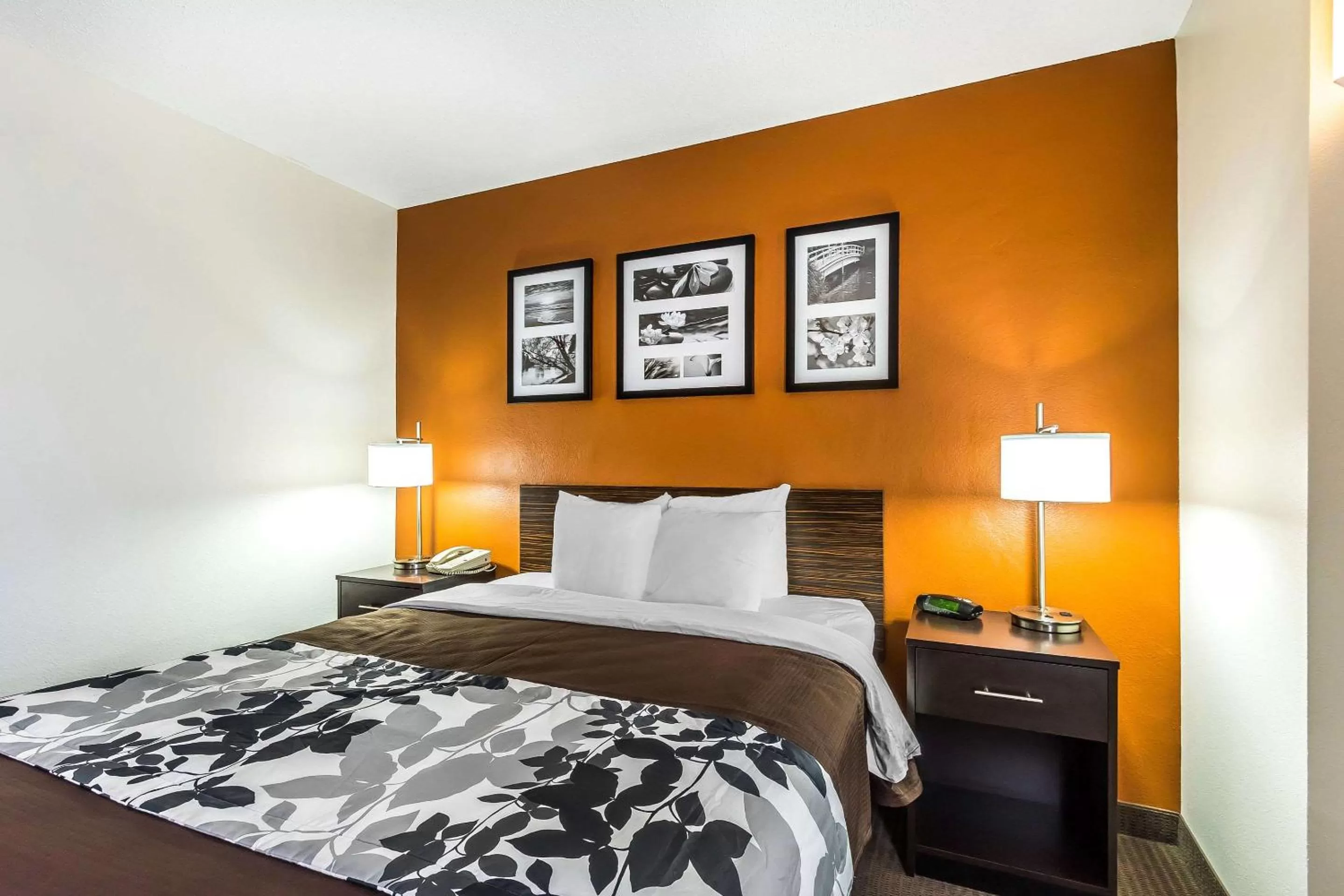 Queen Room with Accessible Tub - Accessible/Non-Smoking in Sleep Inn Springfield South I60 near Medical District