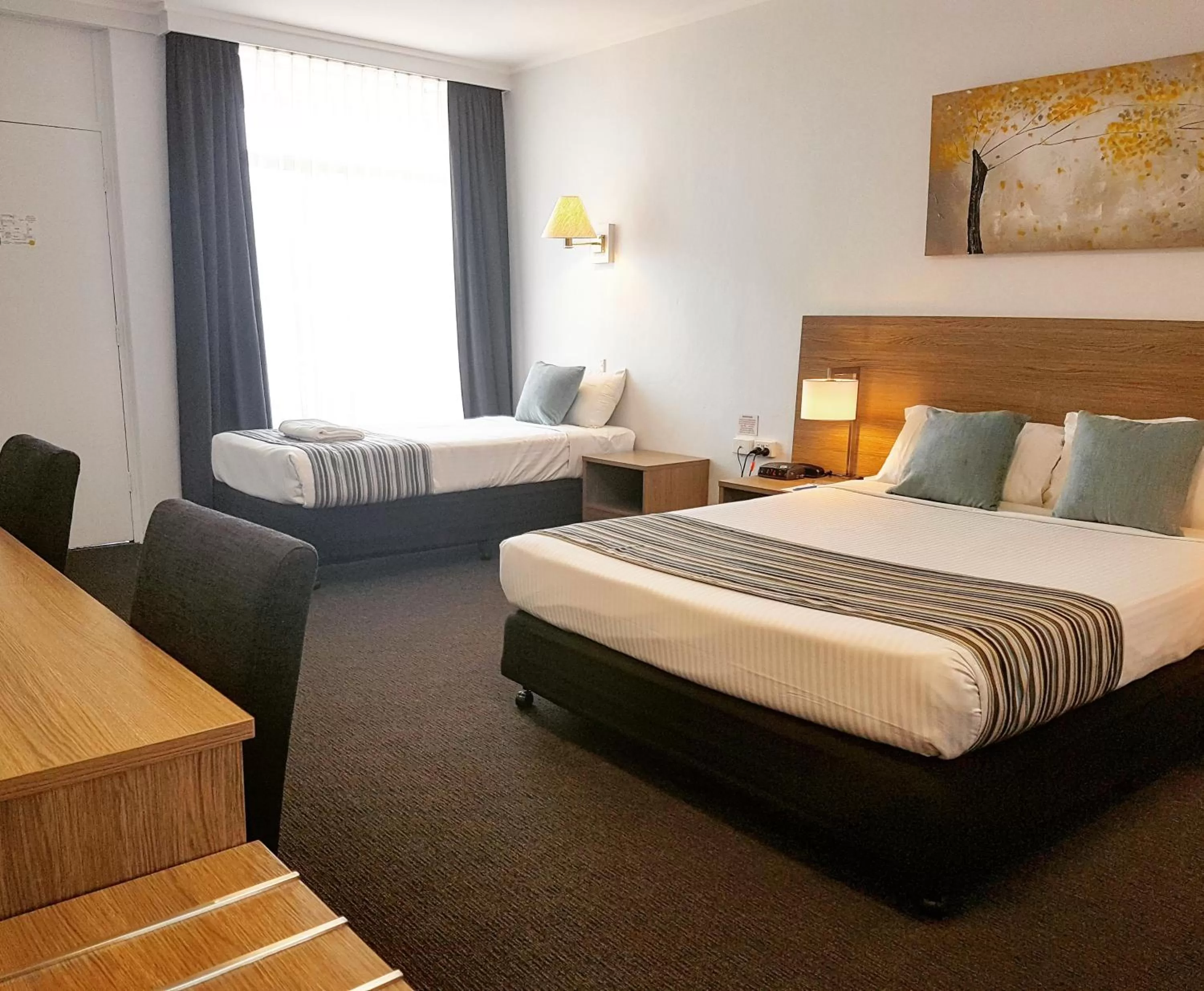 Deluxe Twin Room in Mid City Motor Inn Singleton