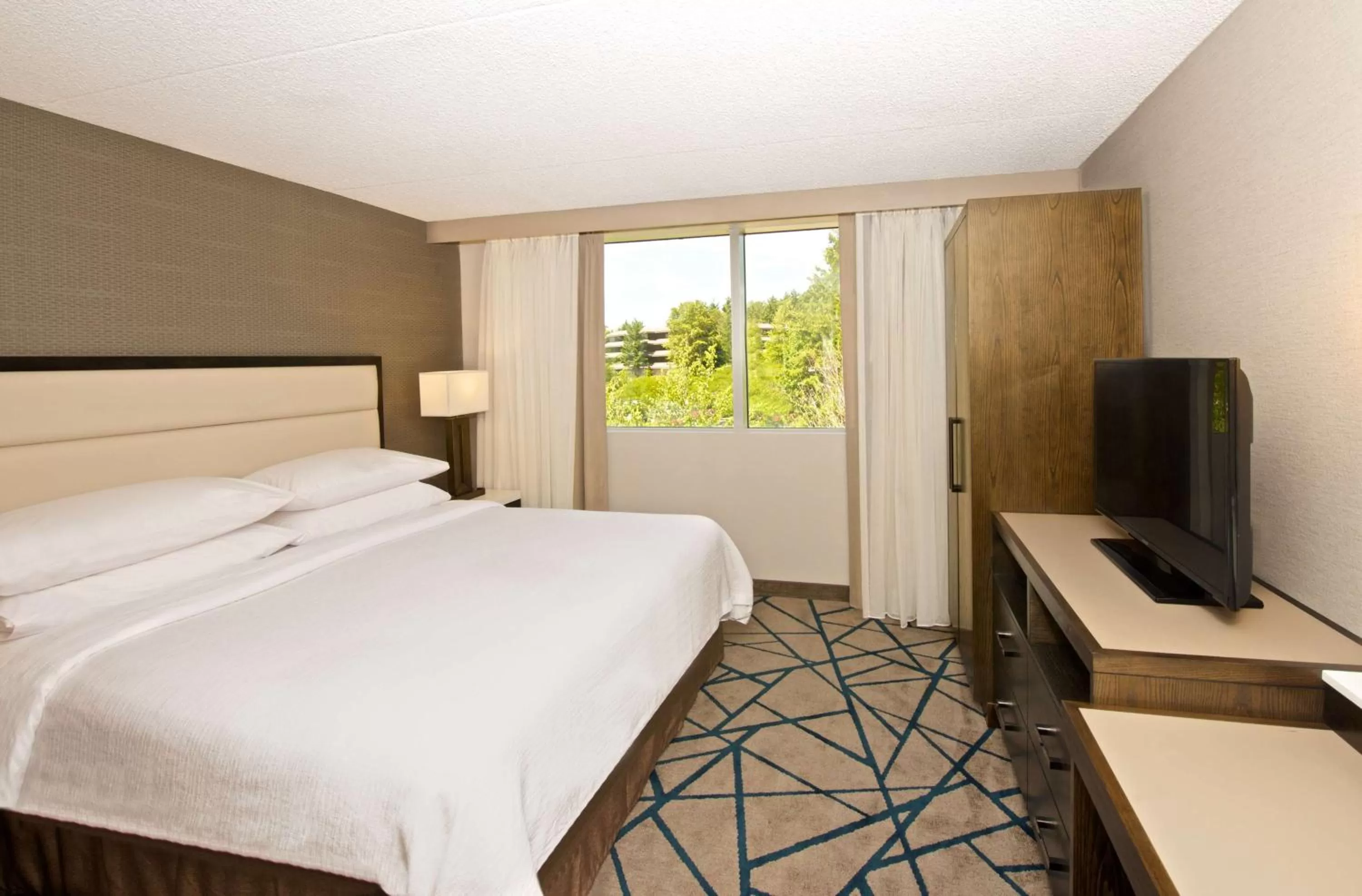 King Suite with Balcony - Non-Smoking in Embassy Suites by Hilton Seattle Bellevue