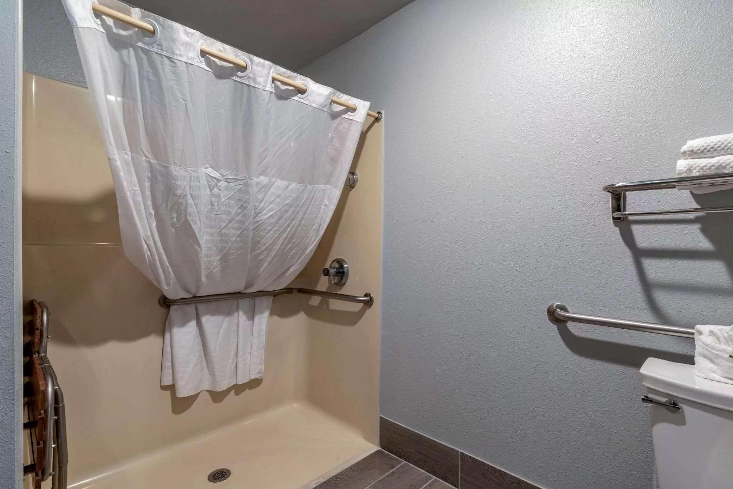 King Room - Accessible/Non-Smoking in Quality Inn