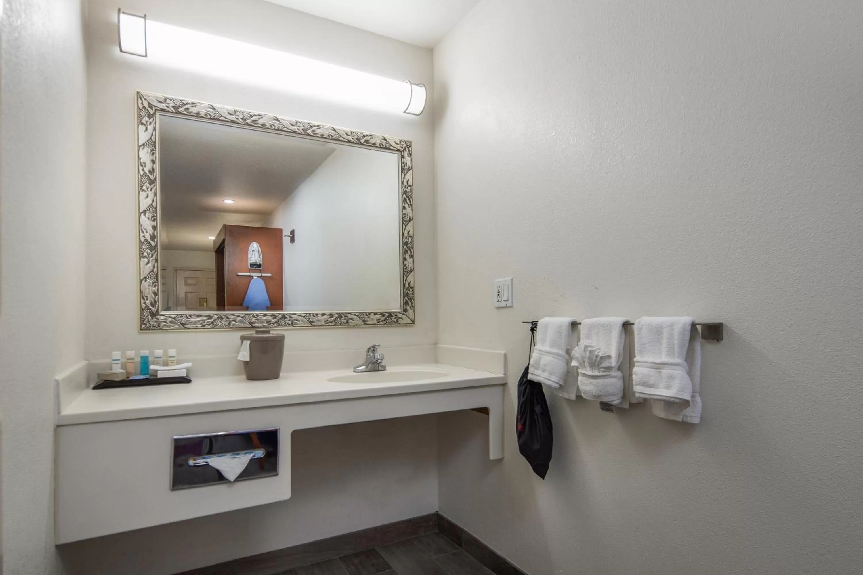 King Room with Roll-In Shower - Disability Access in Atherton Park Inn and Suites