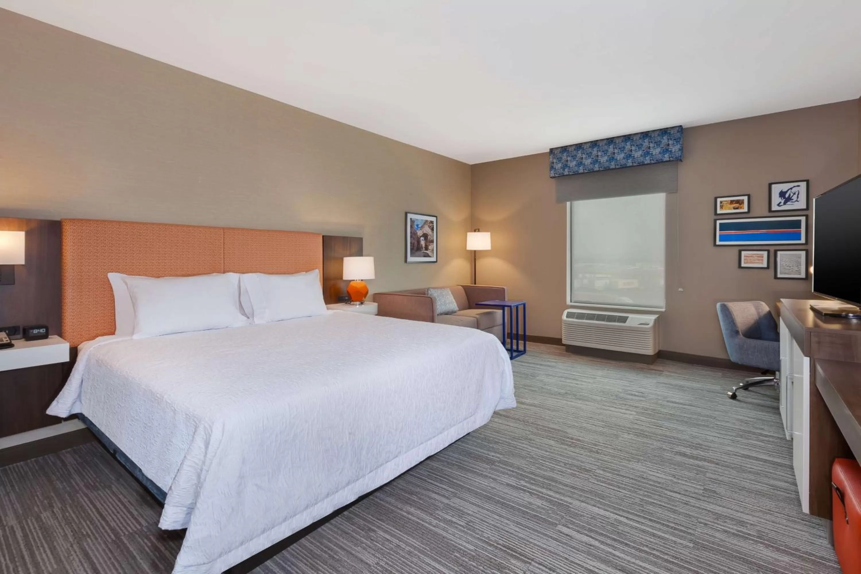 King Room with Sofa Bed - Hearing Access/Non-Smoking in Hampton Inn & Suites Wells, Nv