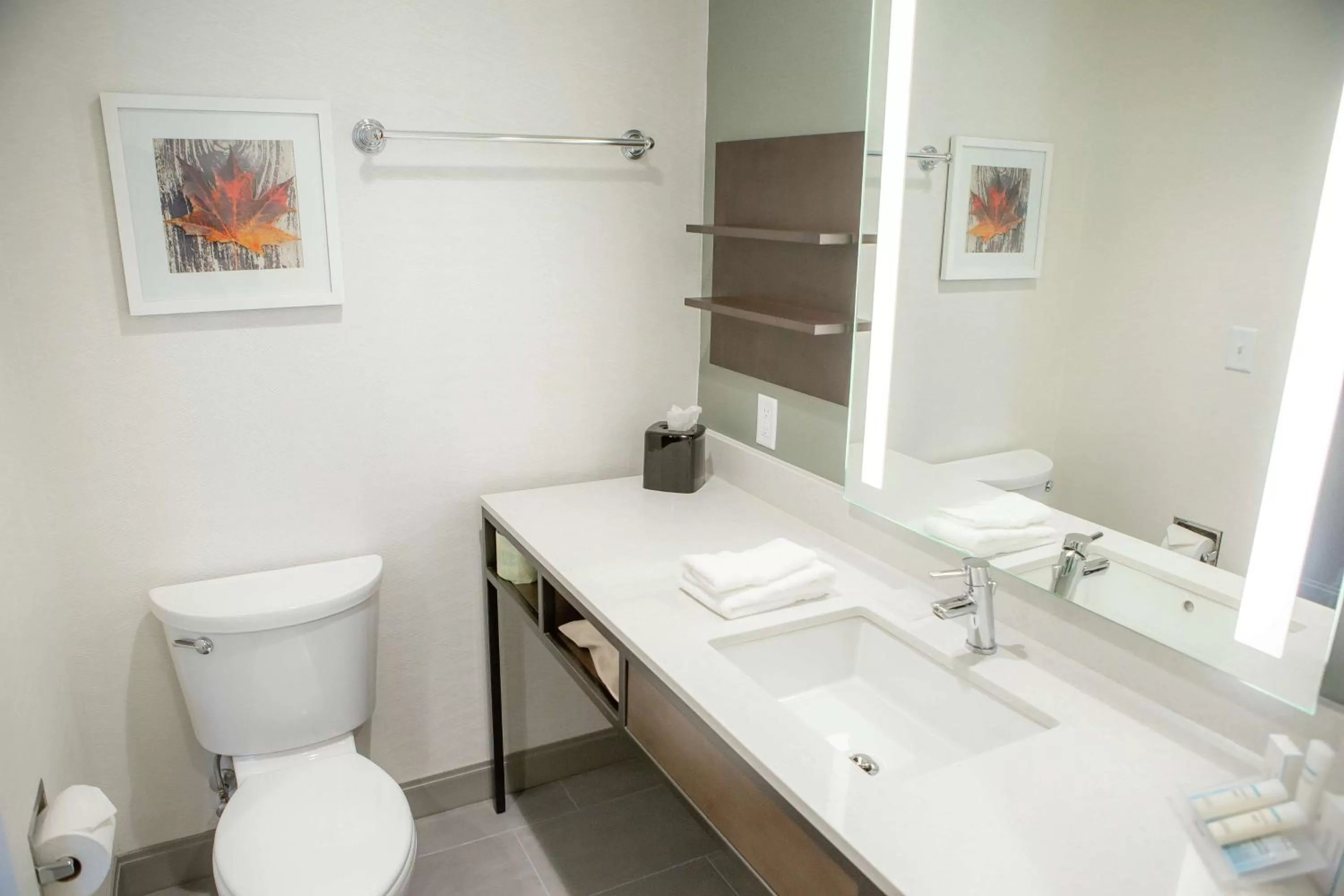 Premium Queen Room with Two Queen Beds in Hilton Garden Inn Corning Downtown