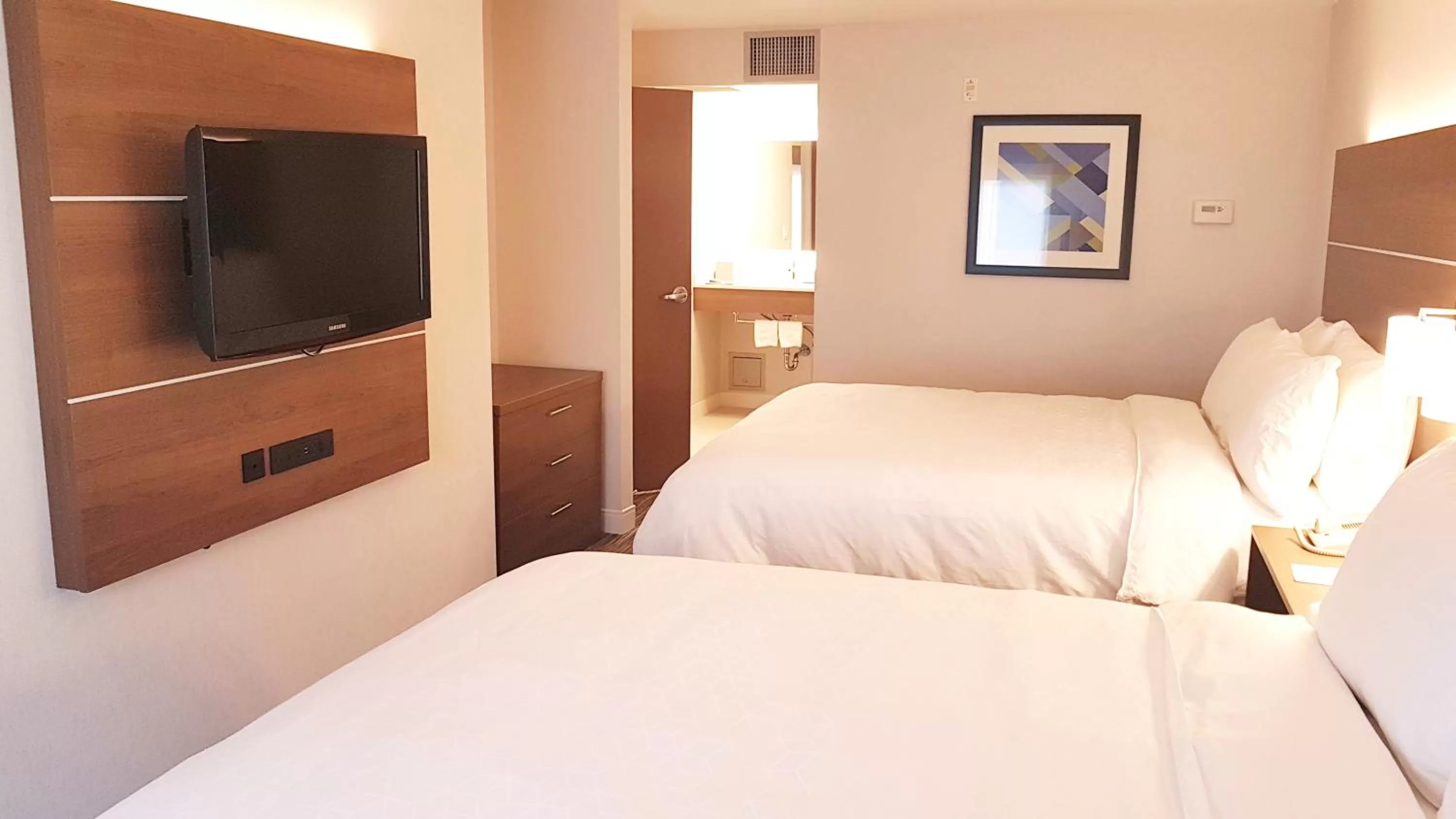 One-Bedroom Queen Suite in Holiday Inn Express and Suites Surrey by IHG