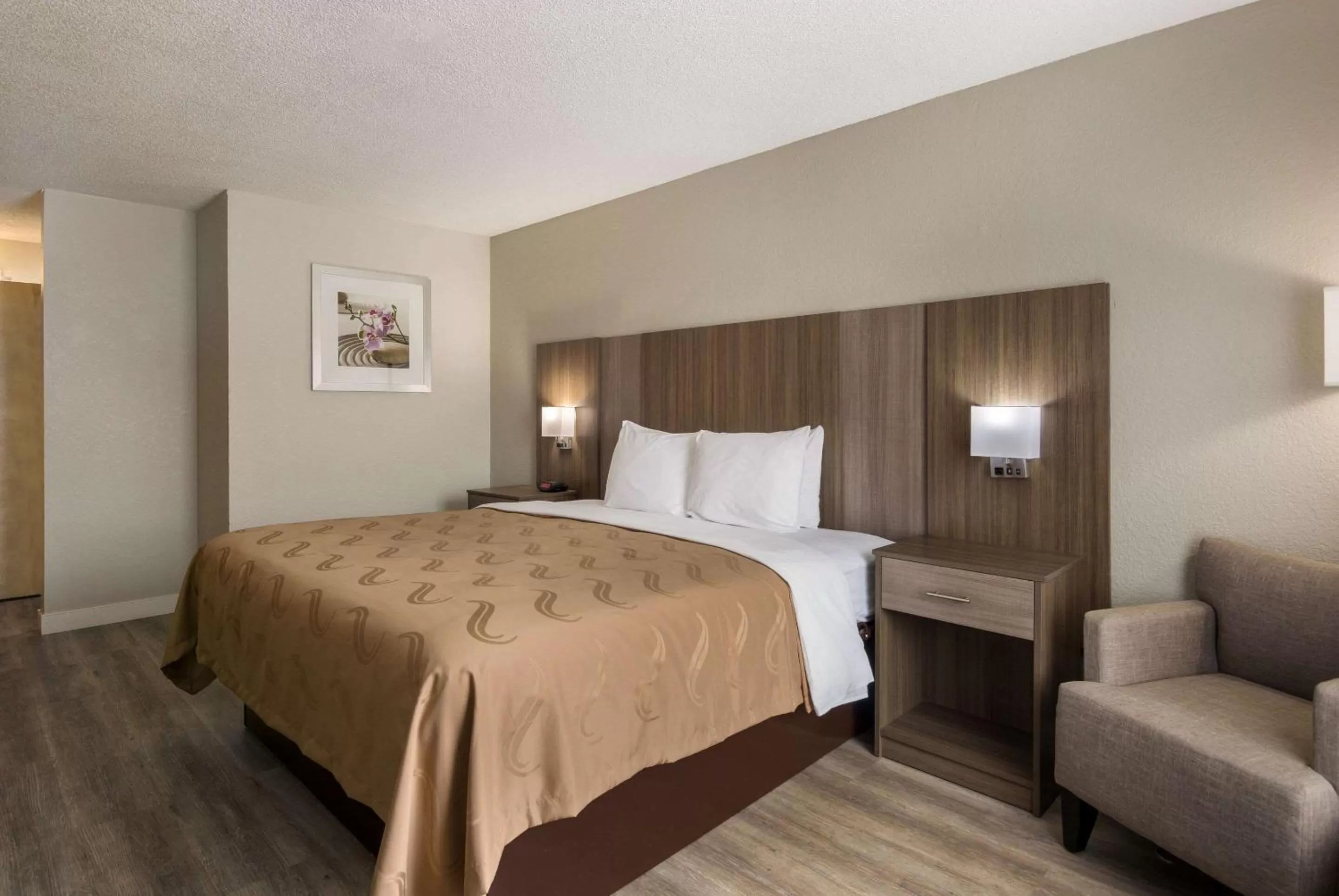 King Room - Accessible/Smoking in Quality Inn Emporia