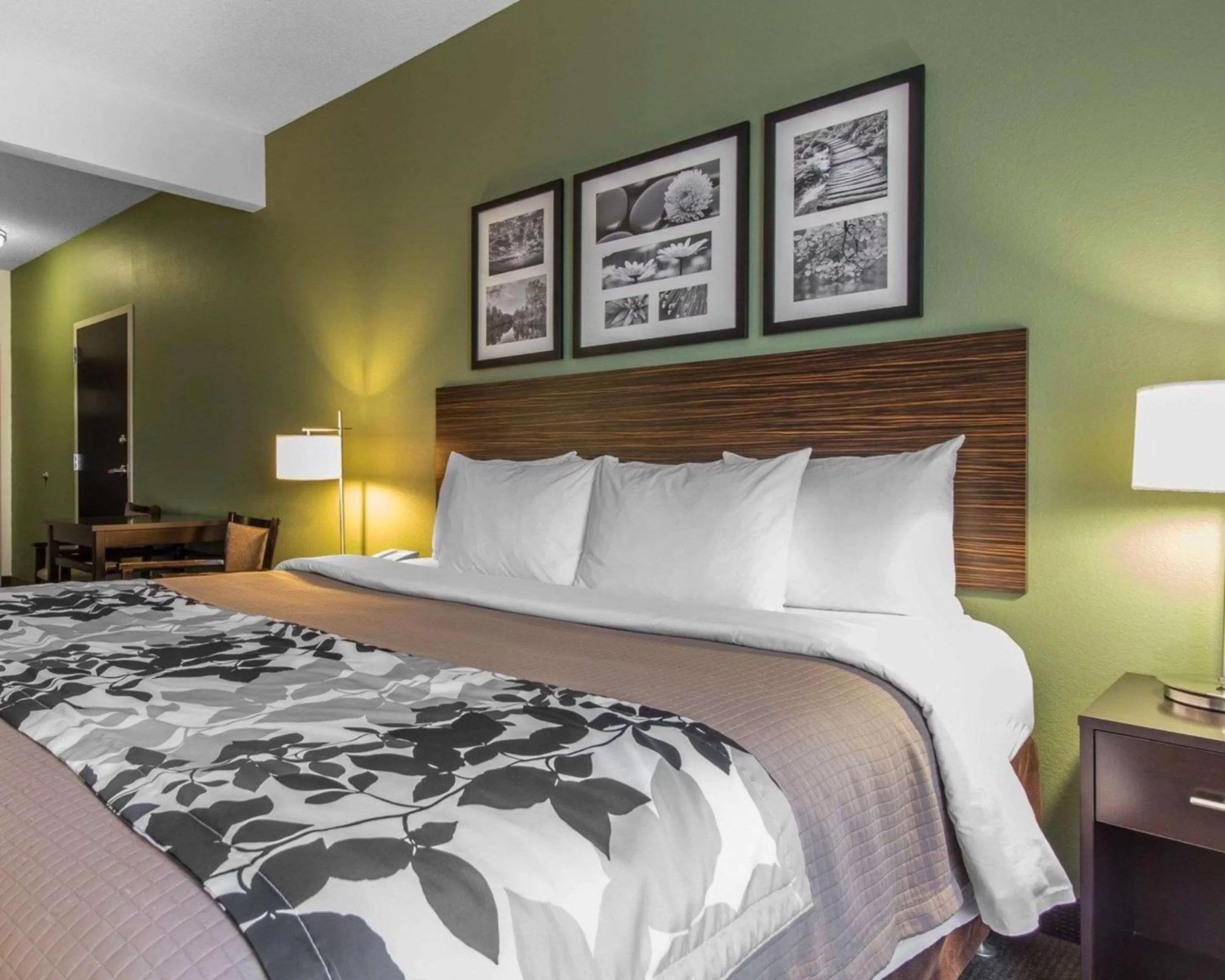 King Room - Accessible/Non-Smoking in Sleep Inn & Suites Middlesboro