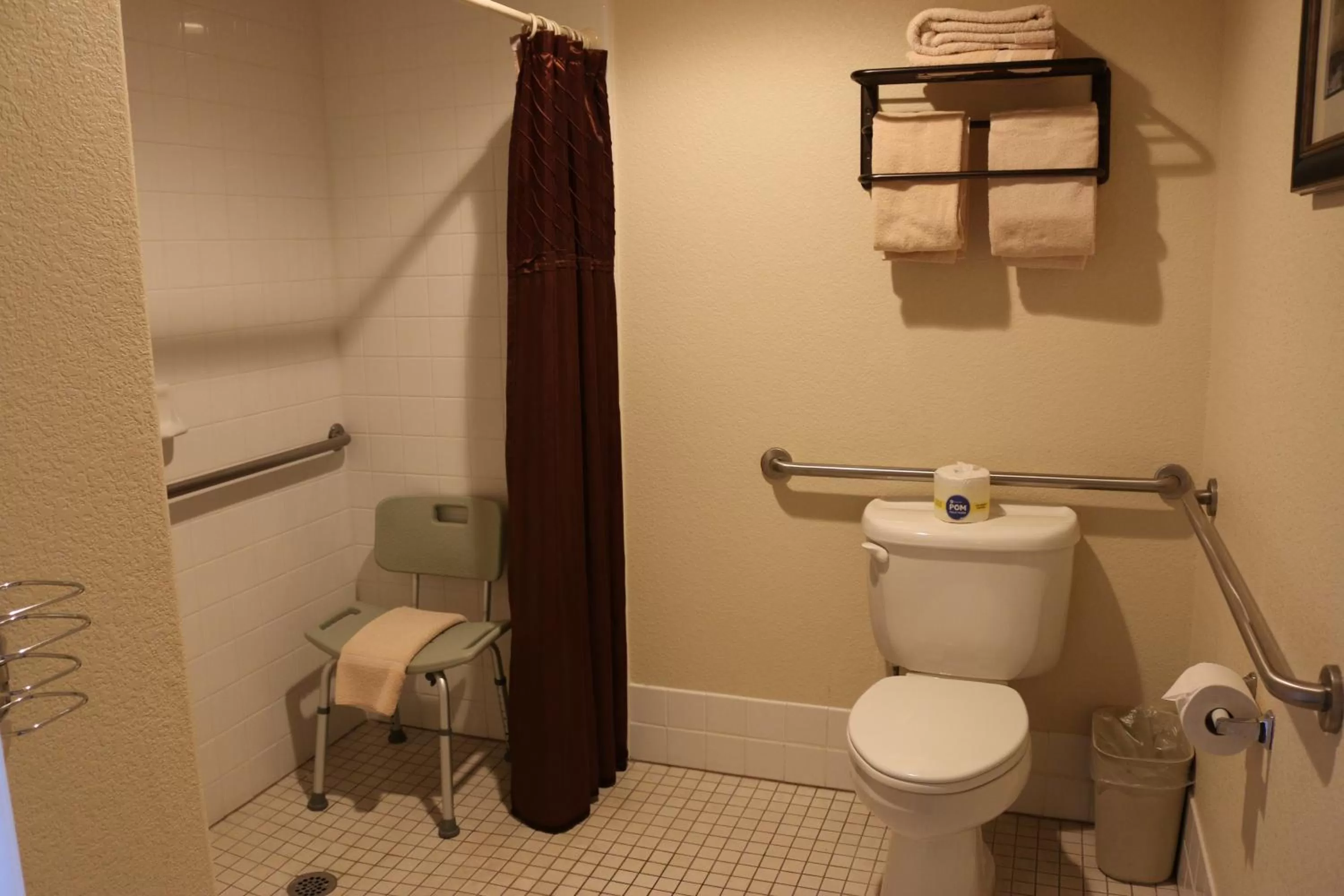 Queen Room - Disability Access - Pet Friendly in Historian Inn