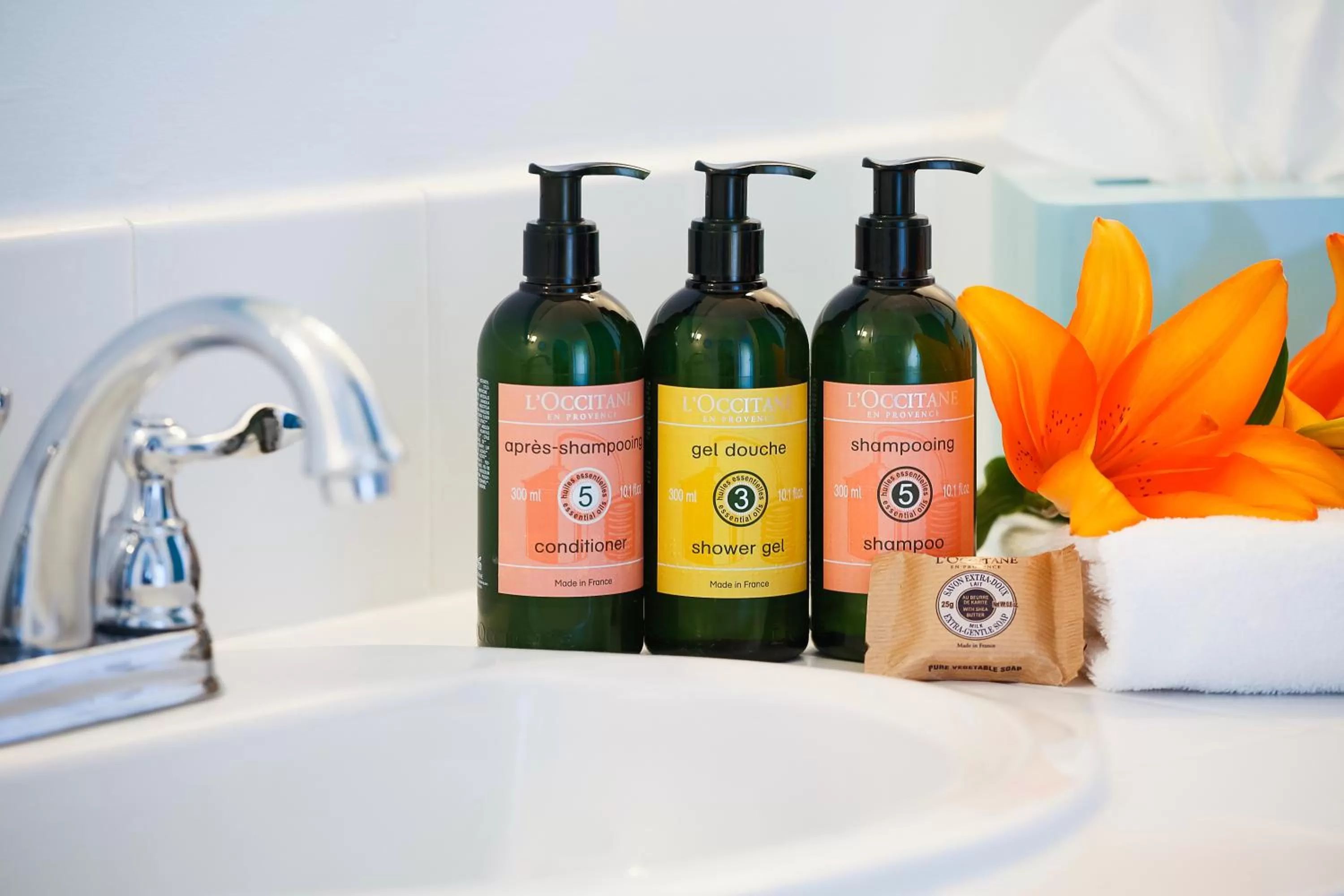 Premier Ocean View King in The Milo