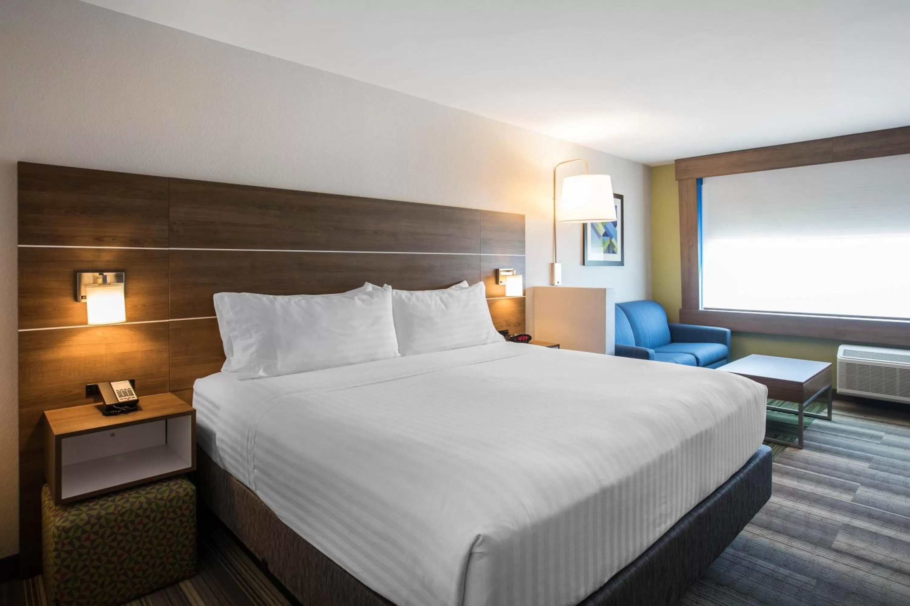 Premium King Room with Sofa Bed in Holiday Inn Express & Suites Ludington by IHG