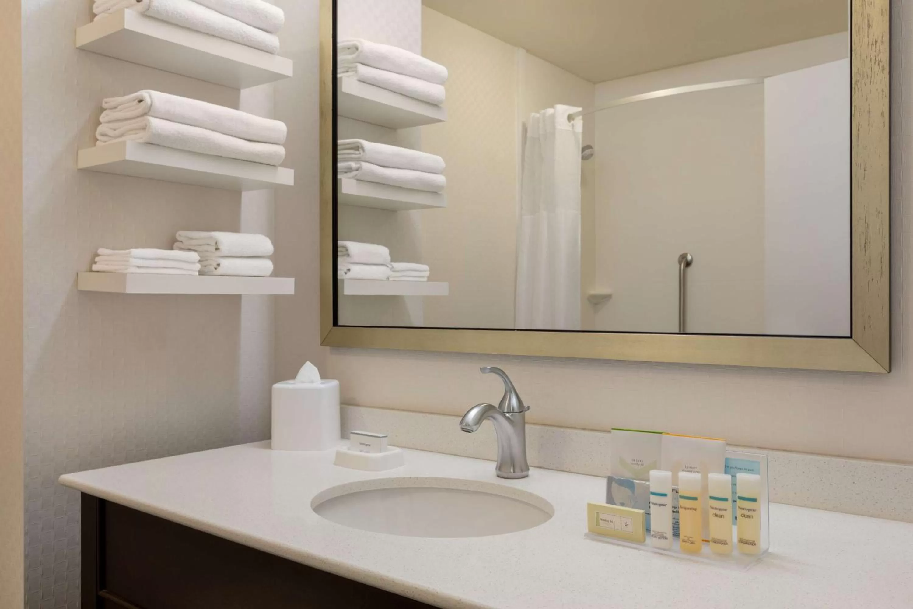 Queen Room with Two Queen Beds - Hearing Access/Non-Smoking in Hampton Inn & Suites - Roanoke-Downtown, VA