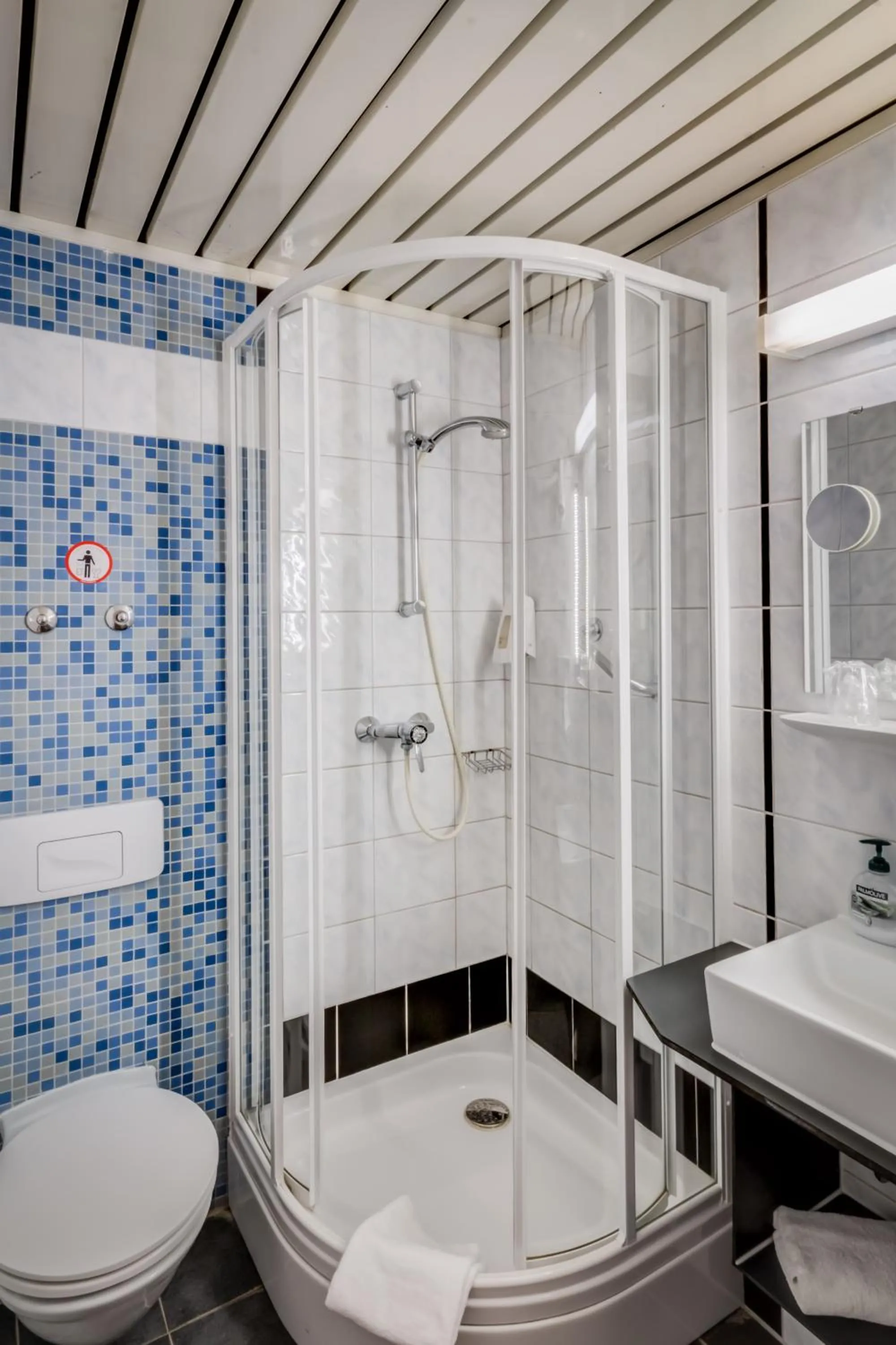 Standard Single Room in Gästehaus Centro in Konstanz