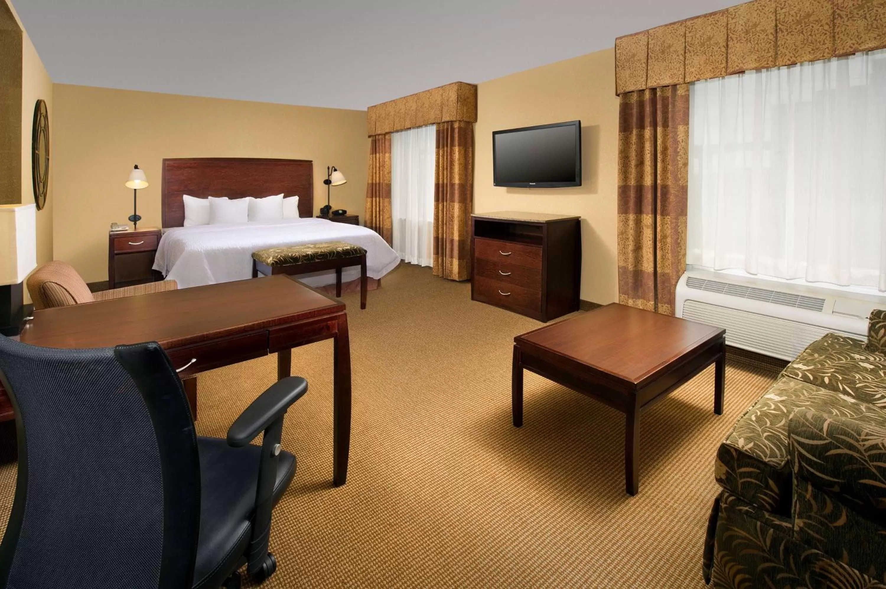 King Studio Suite - Non-Smoking in Hampton Inn and Suites San Antonio Airport
