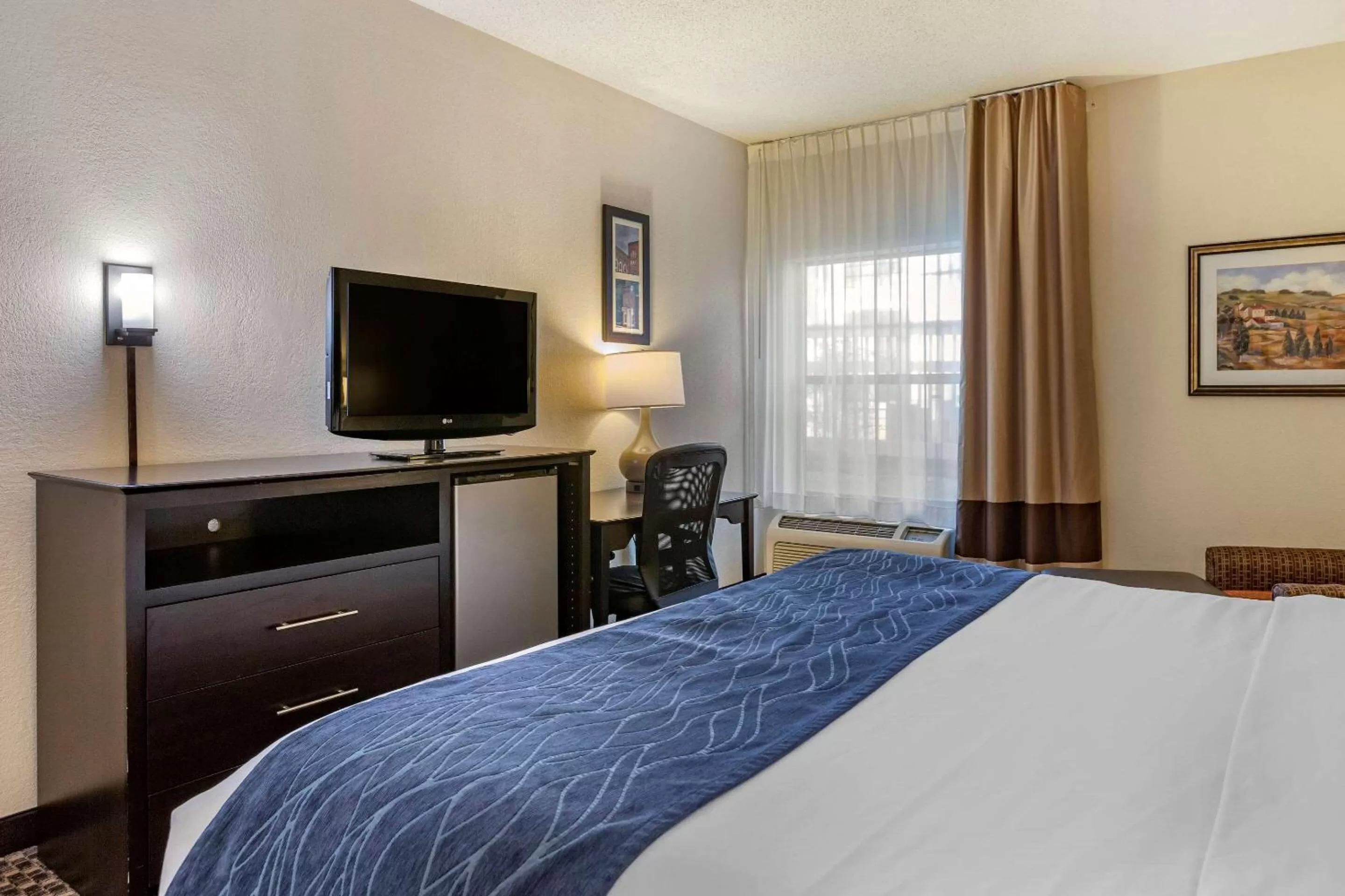 King Room with Roll-In Shower - Accessible/Non-Smoking in Comfort Inn Wings Stadium