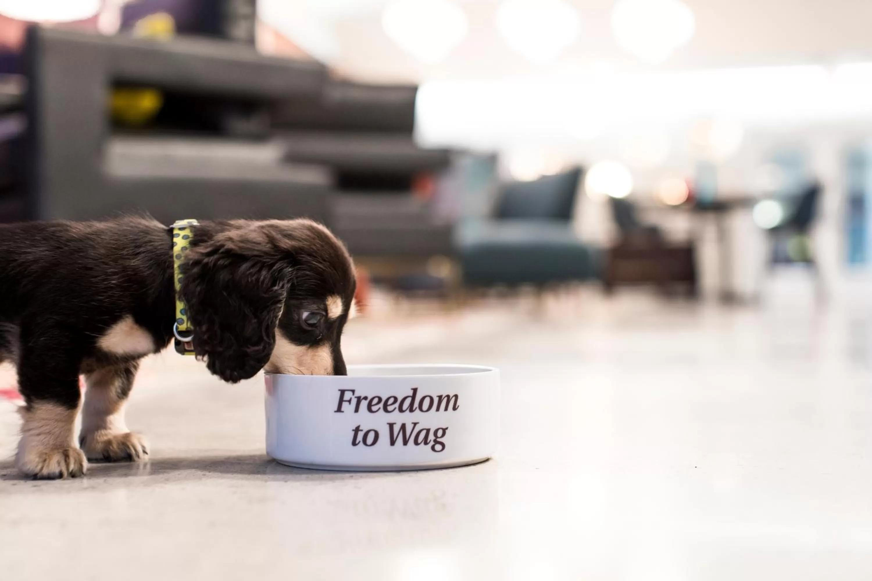 Queen Room with Two Queen Beds and Pool View in Unscripted Durham, Part of JDV by Hyatt