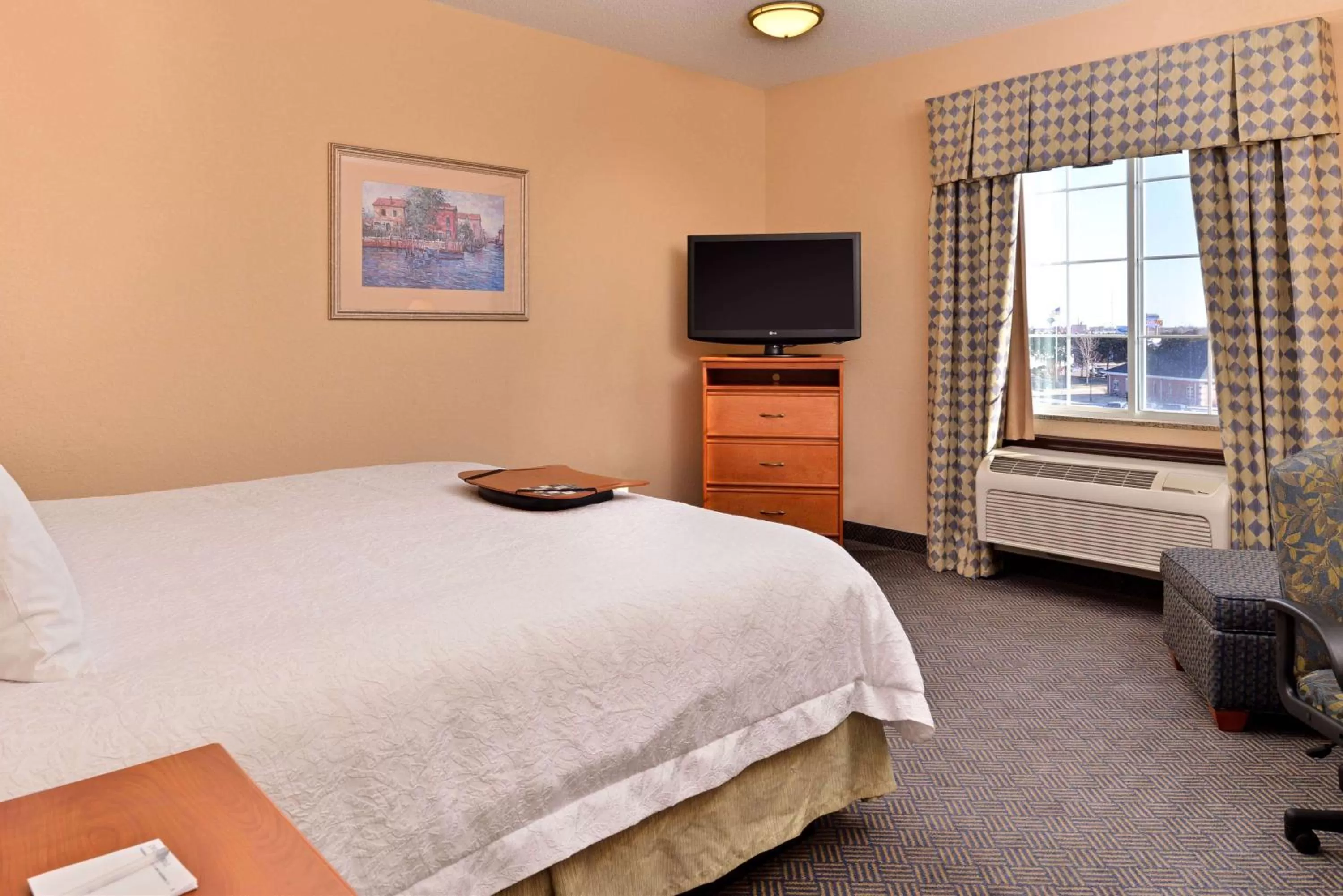 King Room with King Bed - Non-Smoking in Hampton Inn Grand Island
