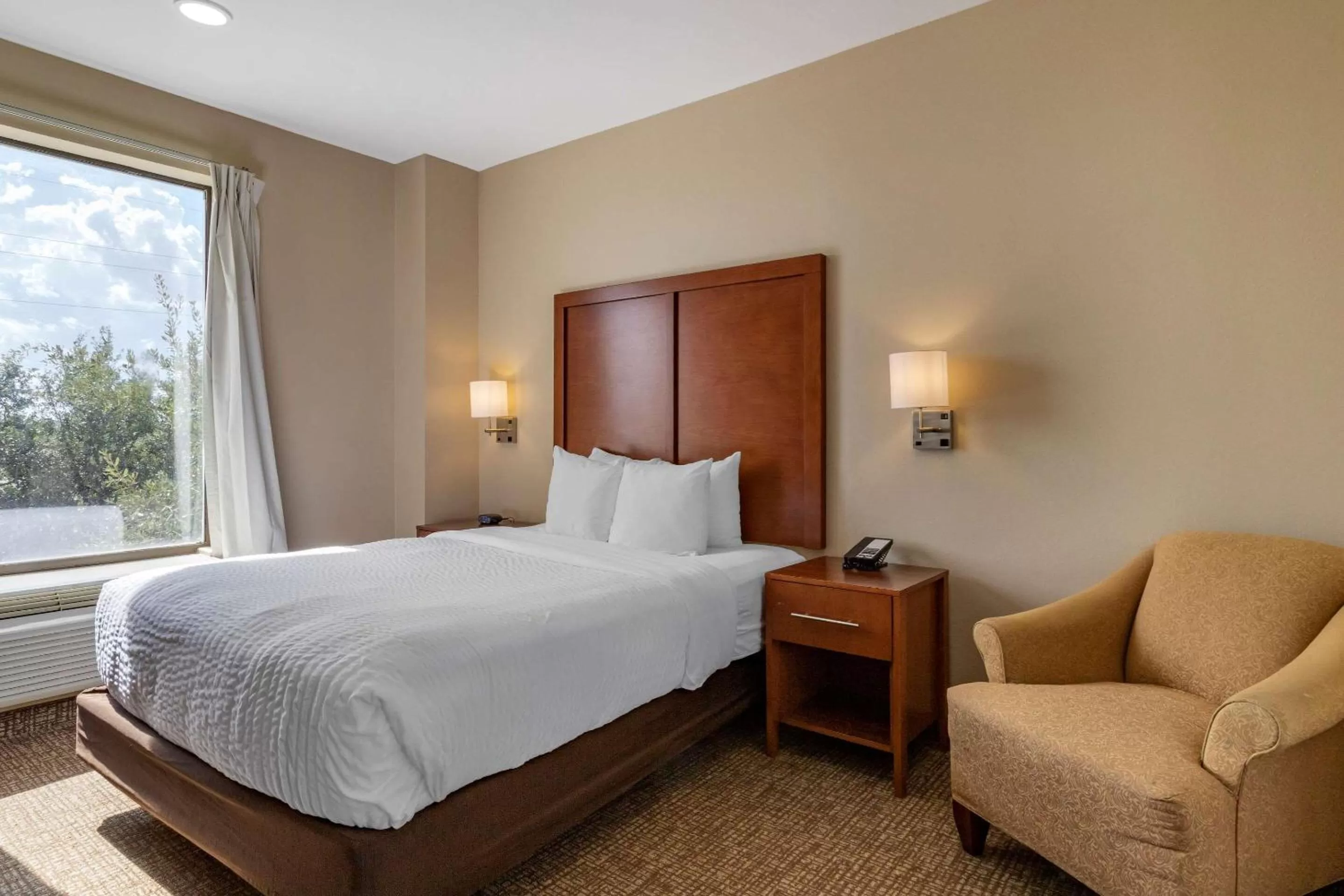Queen Room - Non-Smoking in Comfort Suites Houston near Medical Center- NRG Stadium