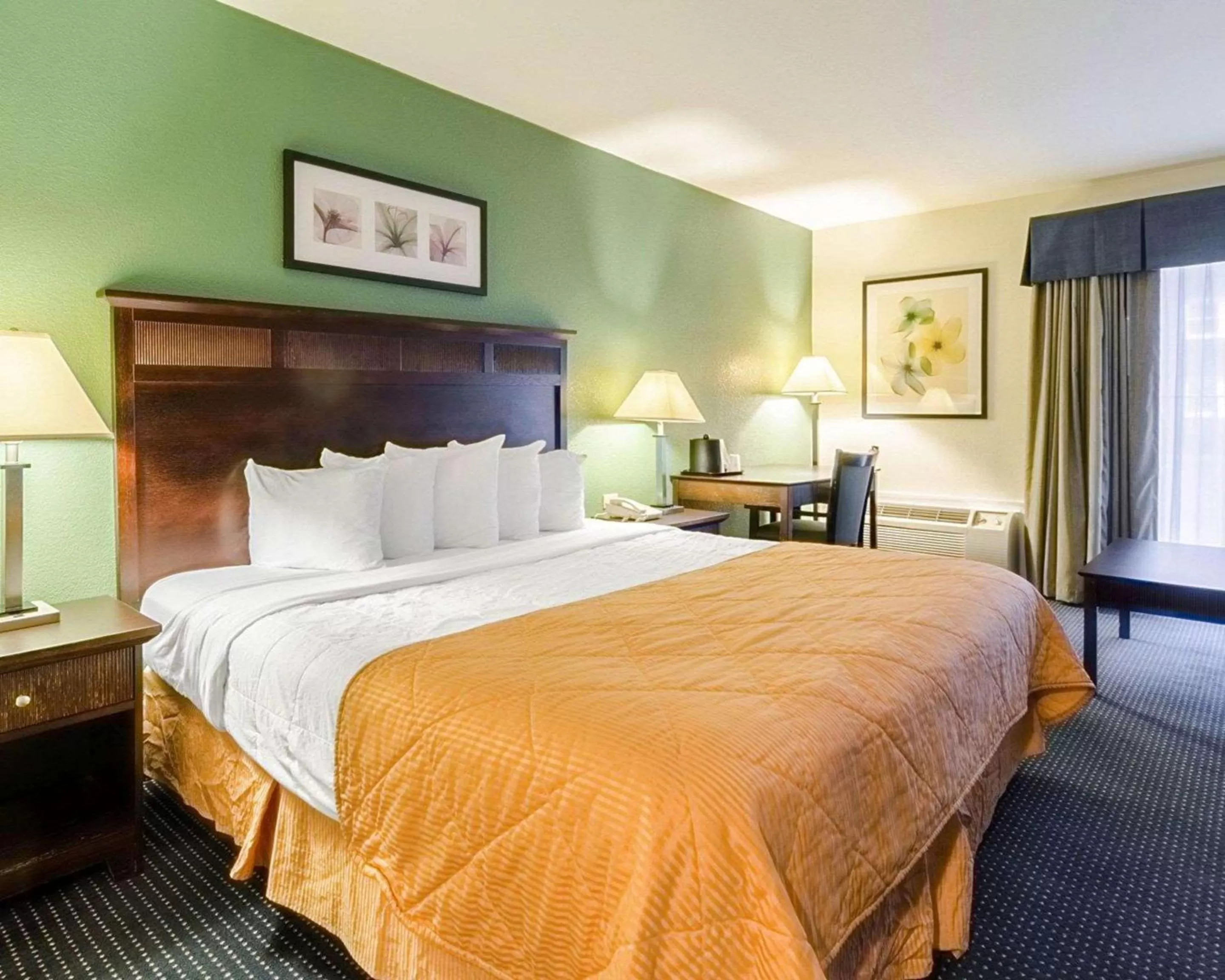 King Room in Rodeway Inn & Suites Williamsburg Central