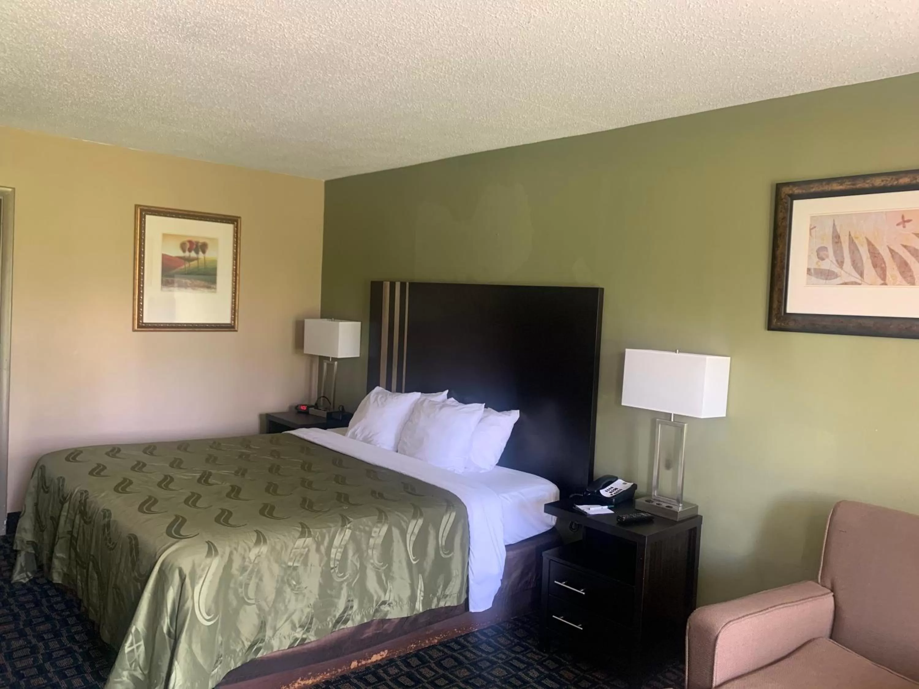 King Room - Non-Smoking (No Pets Allowed) in Quality Inn & Suites Brooksville I-75-Dade City