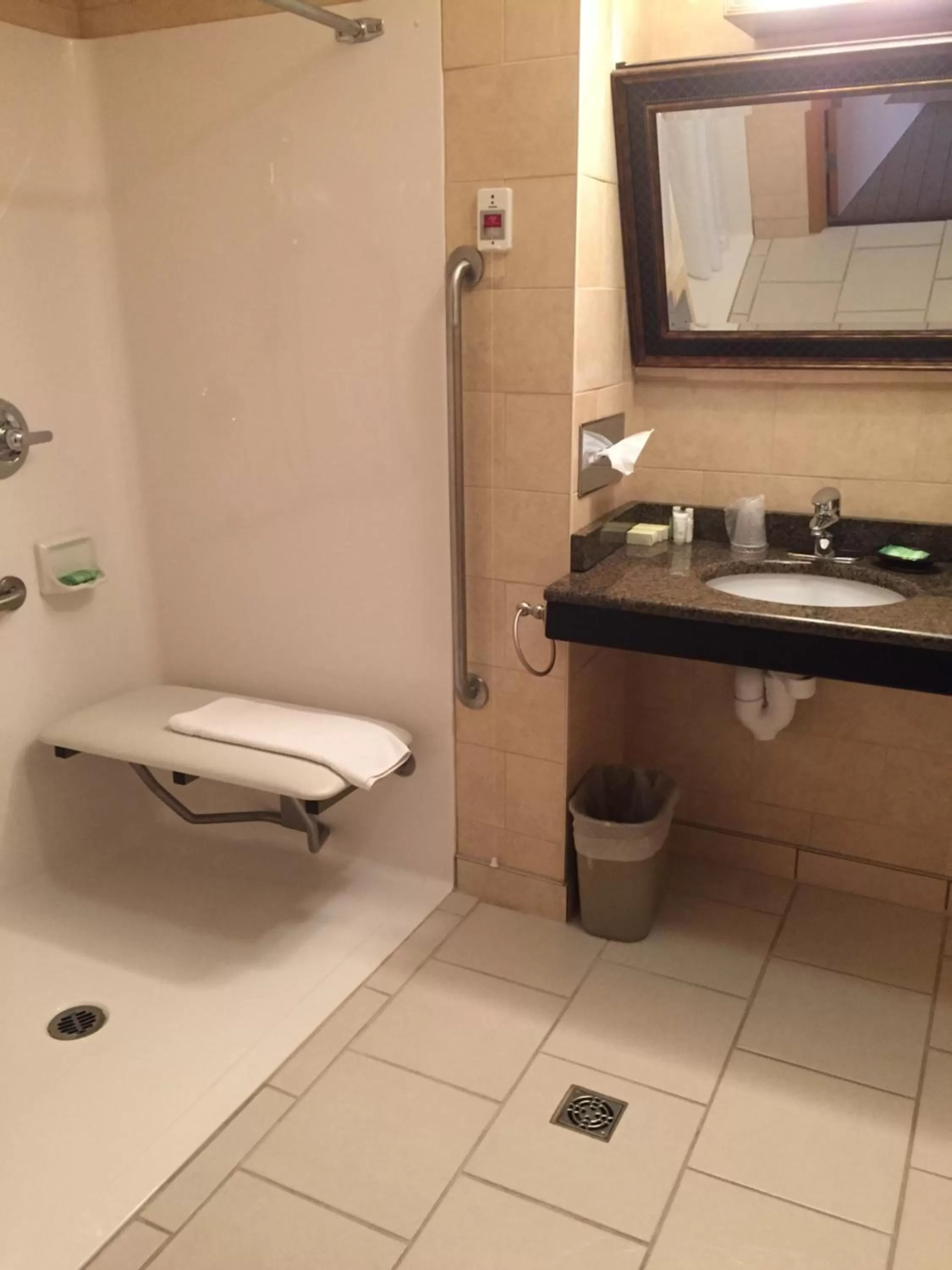 King Room with Roll-In Shower - Disability Access in Inn on Prince Hotel and Conference Centre Truro