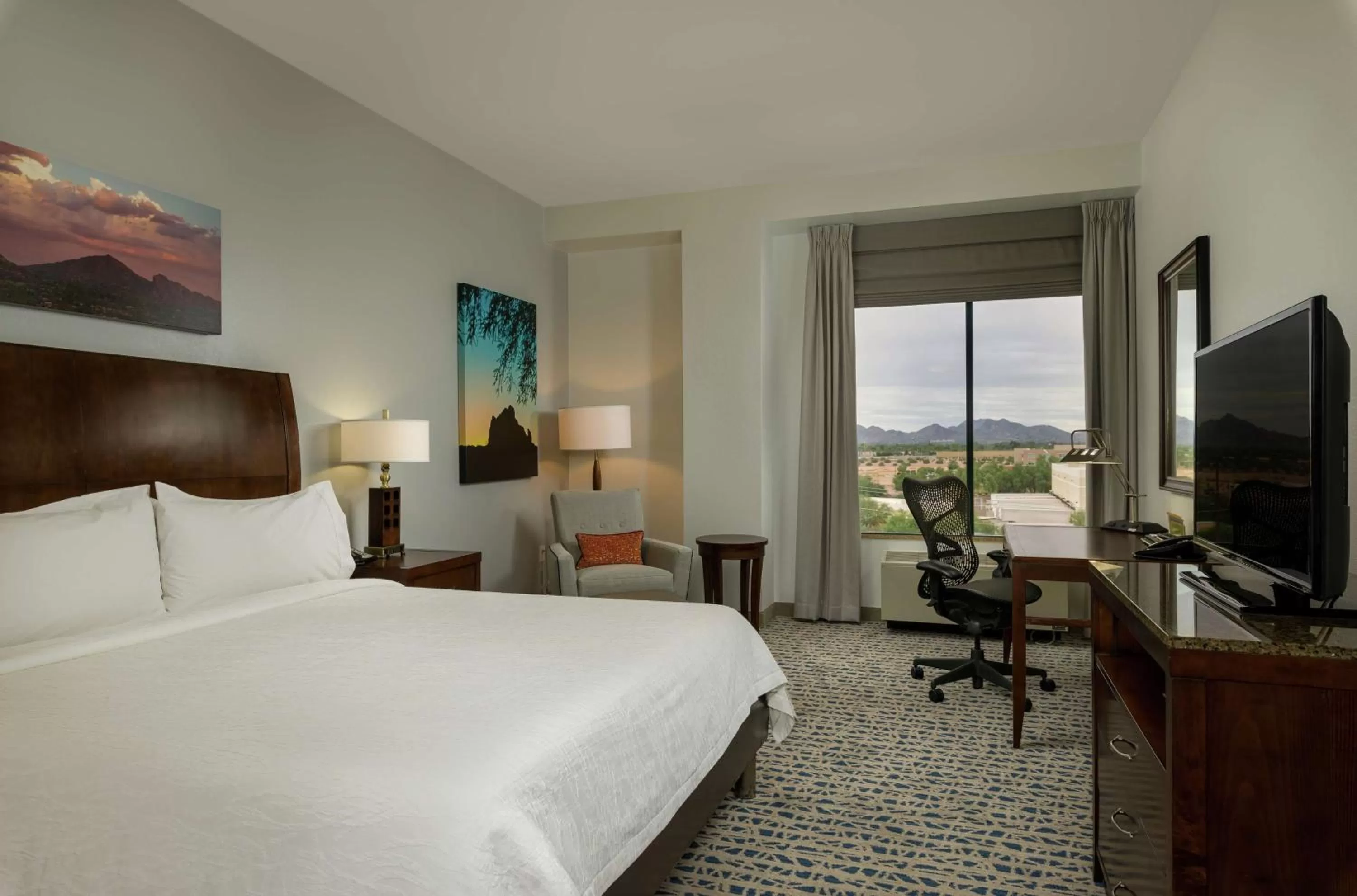 Mountain View King Room in Hilton Garden Inn Phoenix Airport North