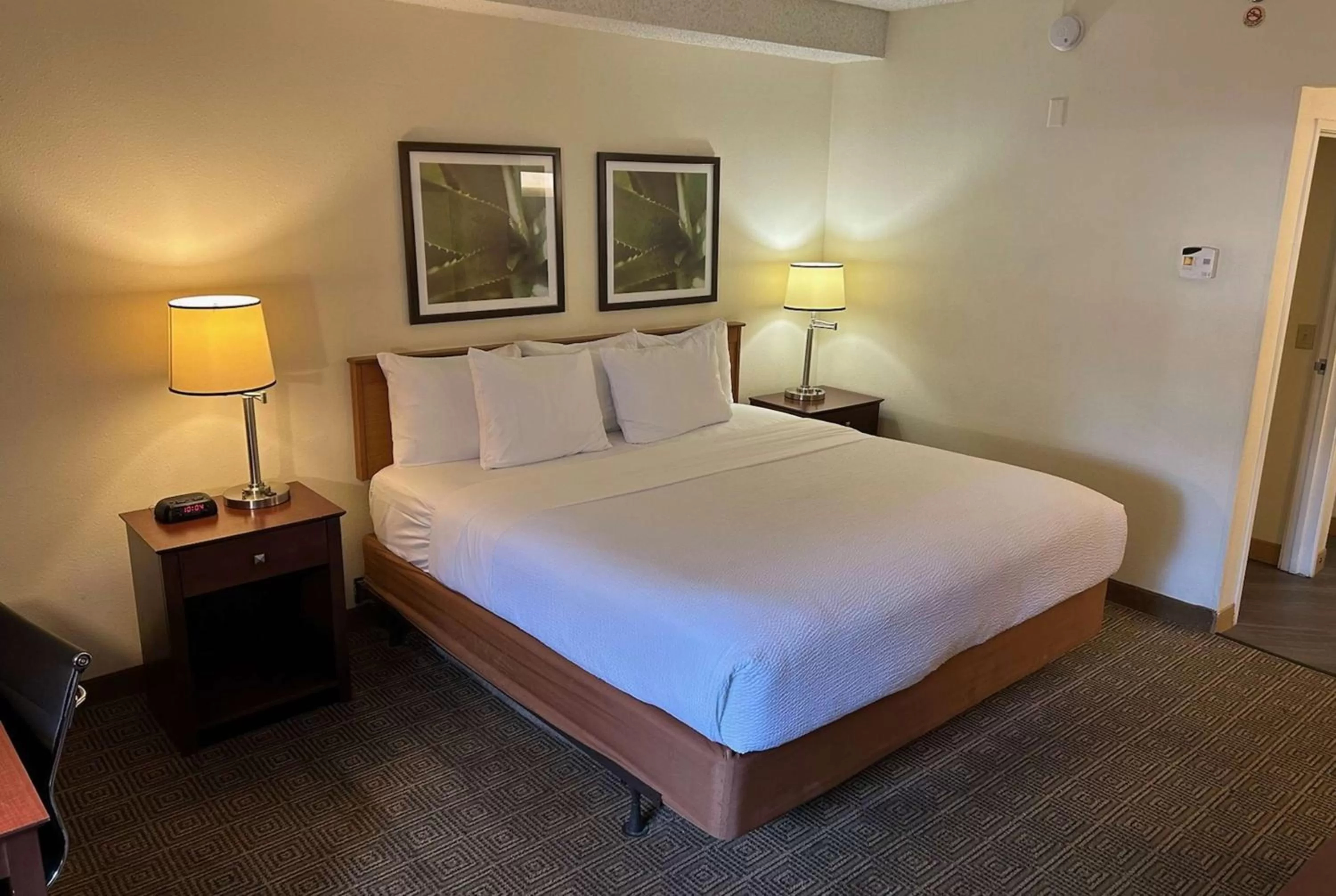 Double Room with Mobility/Hearing Impaired Access - Non-Smoking in La Quinta by Wyndham Orlando South