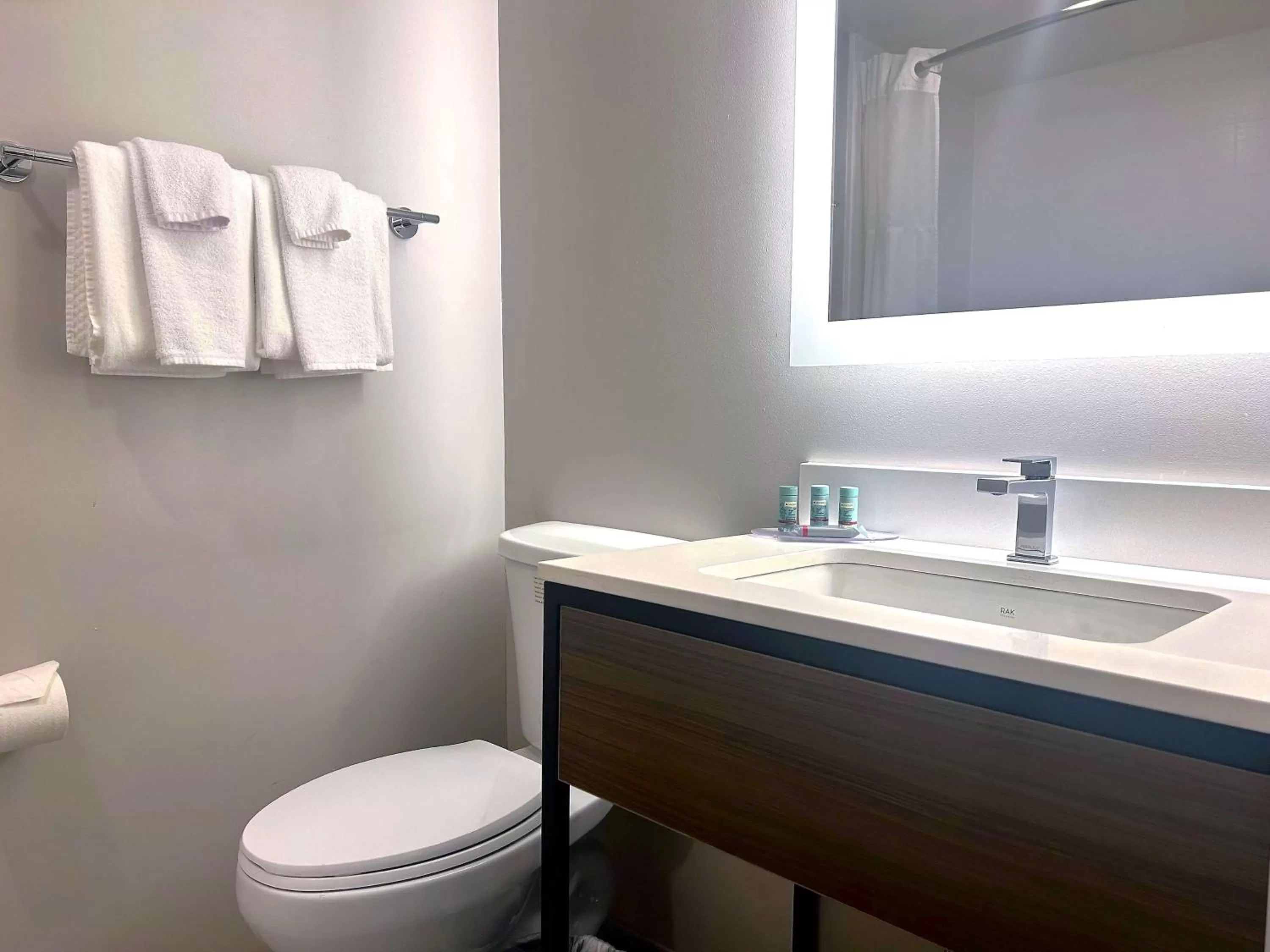 King Room with Bath Tub - Disability Access/Non-Smoking in Best Western Laurel