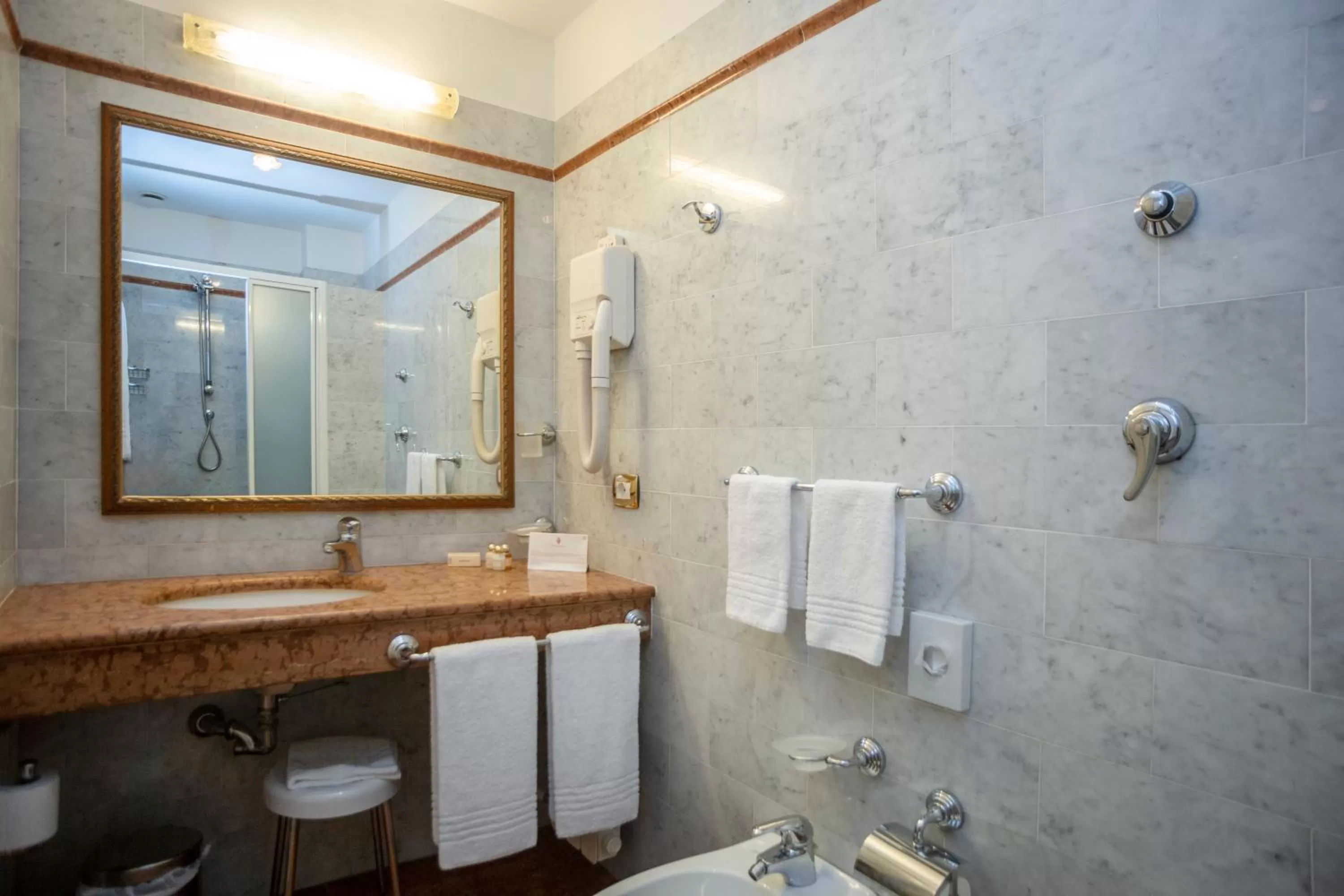 Standard Double  Room in Hotel Donatello