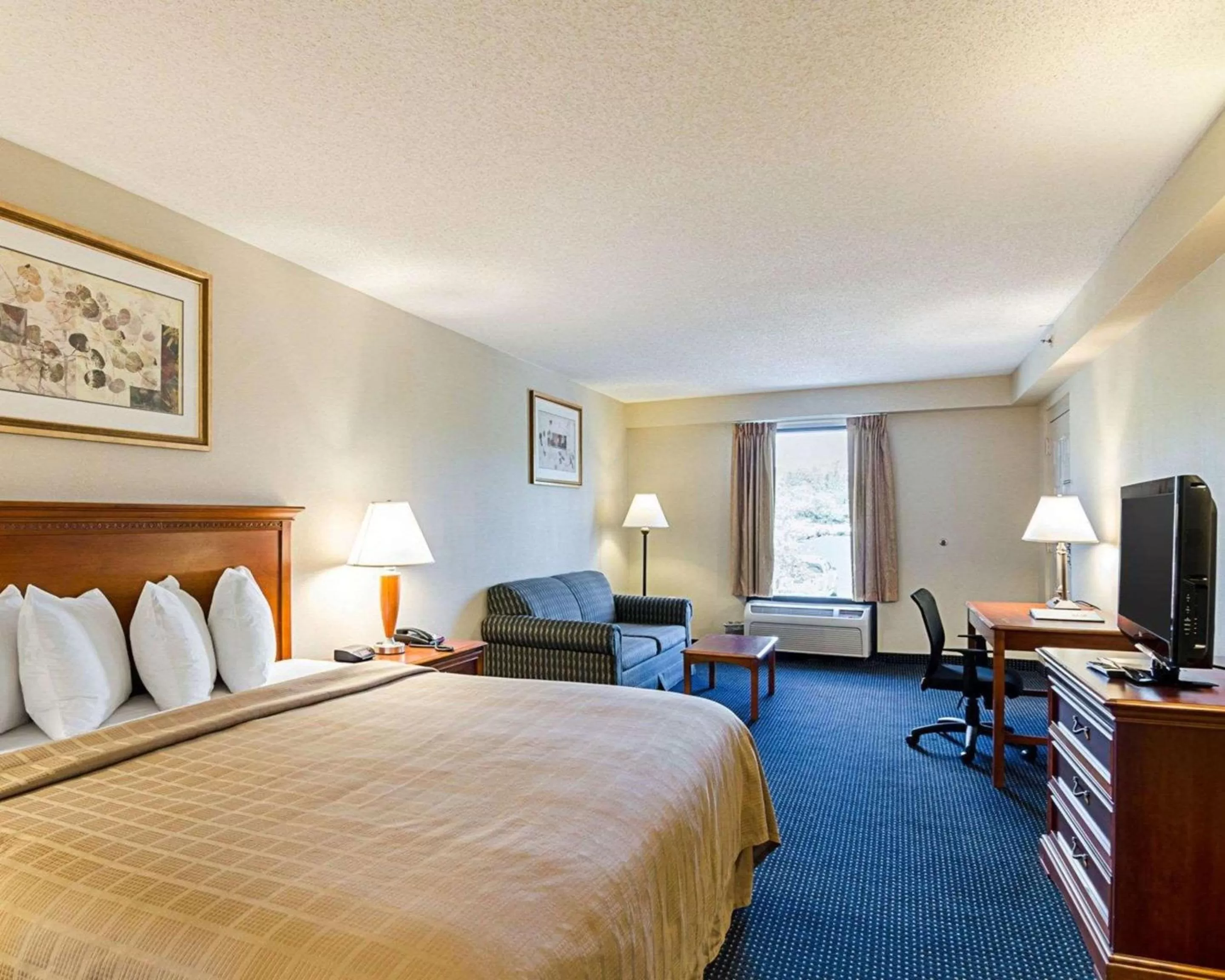 Executive King Room, 1 King Bed, Larger Room, Non Smoking in Quality Inn Troutville - Roanoke North