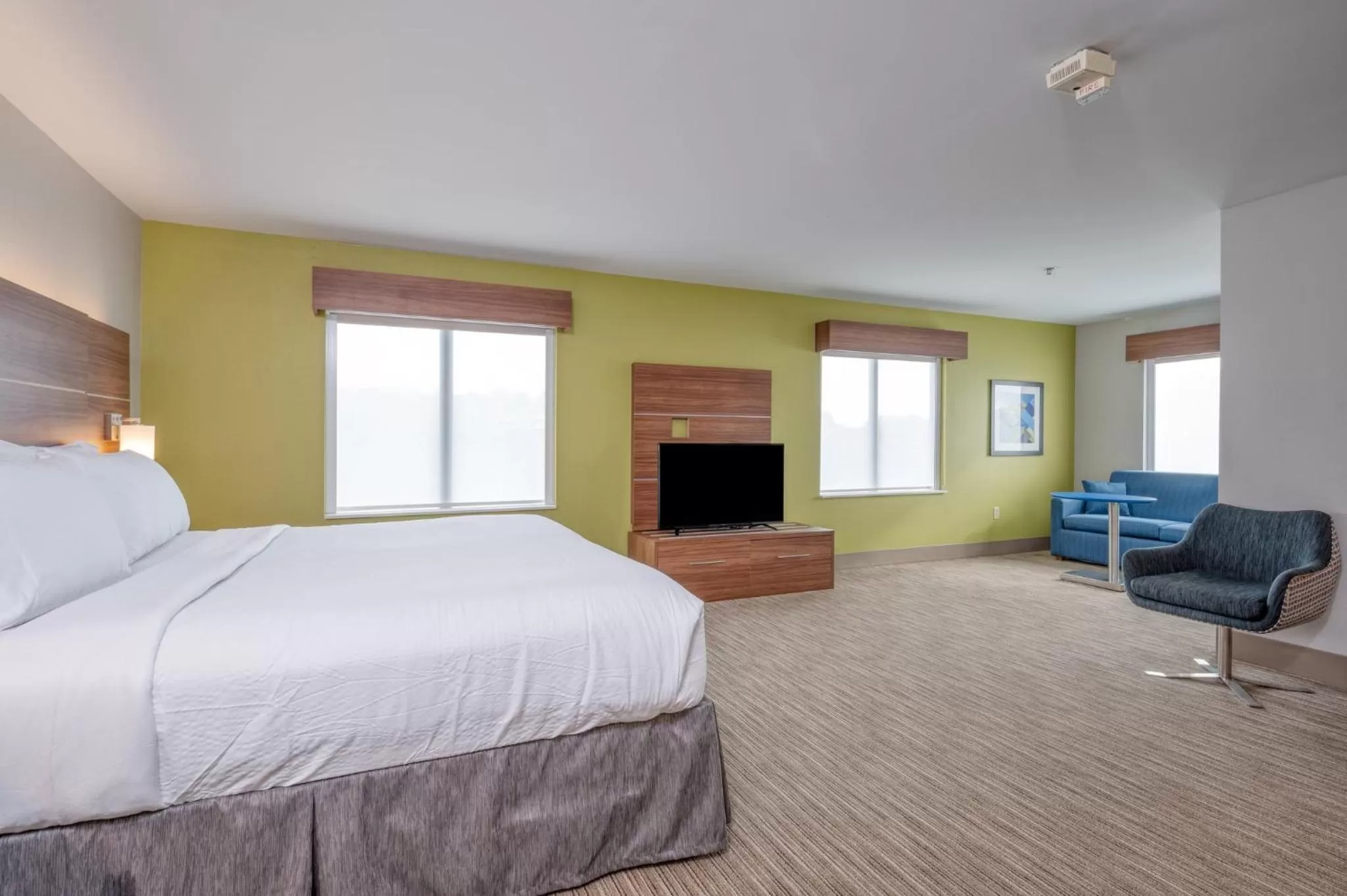 King Suite in Holiday Inn Express Hotel & Suites Thornburg-S. Fredericksburg by IHG