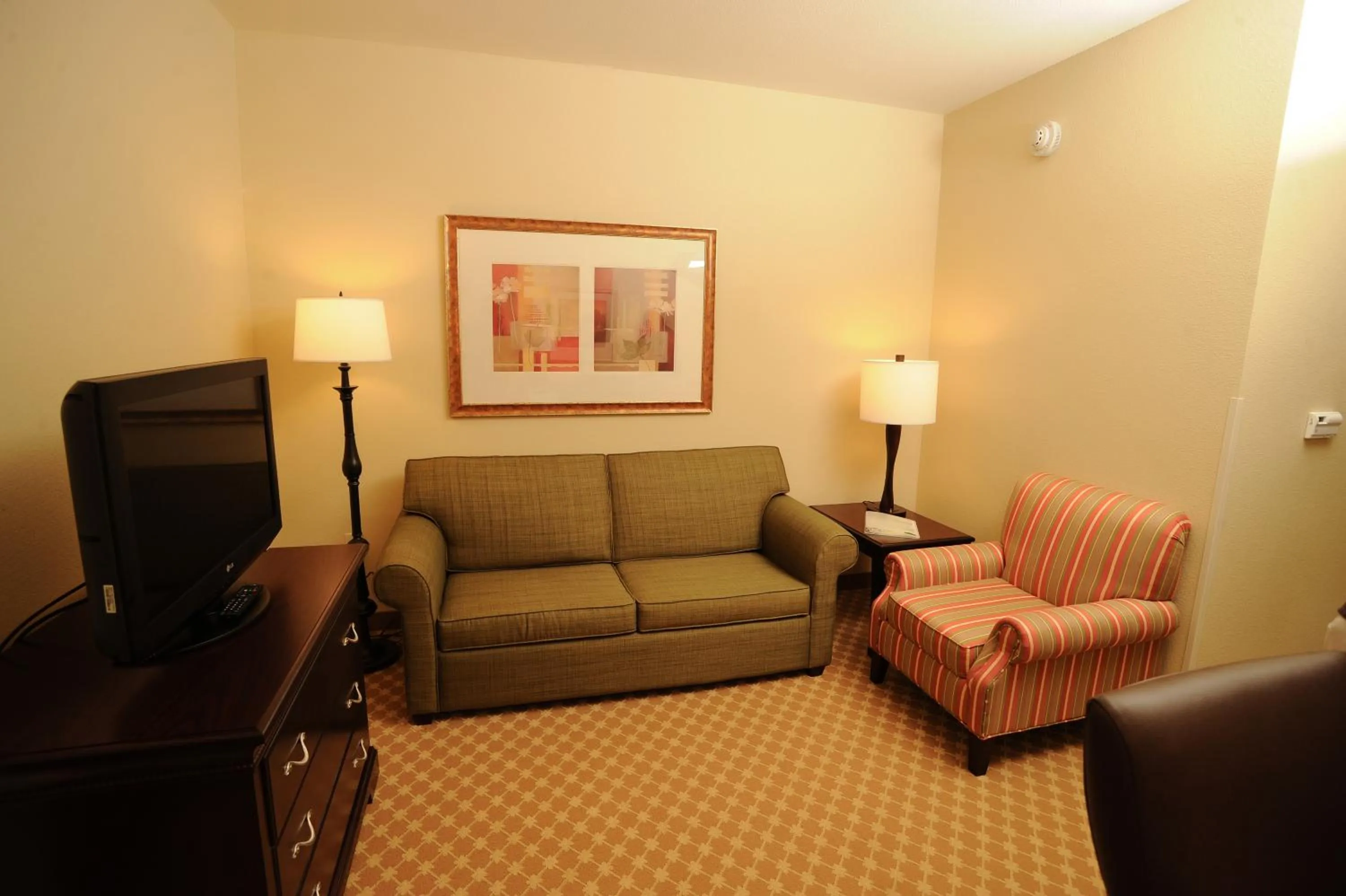 One-Bedroom King Suite with Sofa Bed - Non-Smoking in Country Inn & Suites by Radisson, Concord (Kannapolis), NC